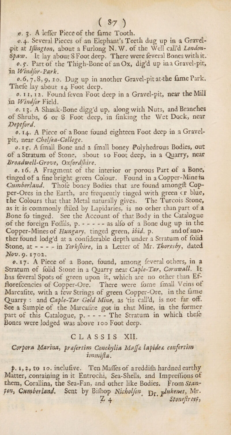 ( §7 ) 0. A Idler Piece of the fame Tooth. o. 4. Several Pieces of an Elephant’s Teeth dug up in a Gravel- pit at Ijlingto)z, about a Furlong N. W. of the Well call’d London- Spaw. It lay about 8 Foot deep. There were leveral Bones with it. o.f. Part of the Thigh-Bone of an Ox, dig’d up in a Gravel-pit, in Windfor-Vark. o.6, 7,8,9, 10. Dug up in another Gravel-pit at-the fame Park. Thele lay about 14 Foot deep. 0.11,12. Found feven Foot deep in a Gravel-pit, near the Mill in Windfor Field. 0. 15. A Shank-Bone digg’d up, along with Nuts, and Branches of Shrubs, 6 or 3 Foot deep, in linking the Wet Dock, near Deptford. 0.14. A Piece of a Bone found eighteen Foot deep in a Gravel- pit, near Chelfea-College. 0. if. A fmall Bone and 2 fmall boney Polyhedrons Bodies, out of a Stratum of Stone, about 10 Foot deep, in a Quarry, near Broadwell-Grove, Oxfordfhire. 0.16. A Fragment of the interior or porous Part of a Bone, tinged of a fine bright green Colour. Found in a Copper-Minem Cumberland. Thole boney Bodies that are found amongft Cop¬ per-Ores in the Earth, are frequently tinged with green cr blue, the Colours that that Metal naturally gives. The Turcois Stone, as it is commonly ftiled by Lapidaries, is no other than part of a Bone fo tinged. See the Account of that Body in the Catalogue of the foreign Fodils, p.-as alfo of a Bone dug up in the Copper-Mines of Hungary, tinged green, ibid. p. and of ano¬ ther found lodg’d at a coniiderable depth under a Stratum of folid Stone, at-- in Torkfhire, in a Letter of Mr. Thor es by, dated Nov. 9.1702. 0. 17. A Piece of a Bone, found, among feveral others, in a Stratum of folid Stone in a Quarry near Caple-Tar, Cornwall. It has feveral Spots of green upon it, which are no other than Ef- florefcencies of Copper-Ore. There were fome fmall Veins of Marcalite, with a few Strings of green Copper-Ore, in the fame Quarry : and Caple-Tar Gold Mine, as ’tis call’d, is not far off. See a Sample of the Marcalite got in that Mine, in the former part of this Catalogue, p.-The Stratum in which tkefe Bones were lodged was above 100 Foot deep. C L A S S I S XII. Corpora Marina, pr&fertim Conchylia Majf<& lapidea confertlm immijla. p. 1,1, to 10. inclulive. Ten Malfes of areddifh hardned earthy Matter, containing in it Entrochi, Sea-Shells, and Imprelfions of them, Corallina, the Sea-Fan, and other like Bodies. From Stan- font Cumberland. Sent by Bifhop Nkholfon# pr jdukenet, Mr. Z 4 * Stoneflrtef,