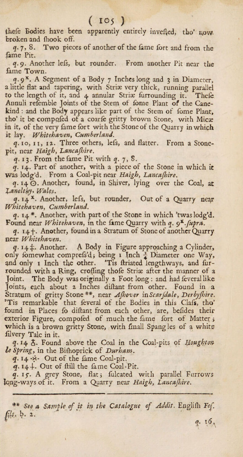 theie Bodies have been apparently entirely invef^ed, tho’ r*ow> broken and fhook off. q.p, 8. Two pieces of another of the fame fort and from the fame Pit. q.q. Another lefs, but rounder. From another Pit near the fame Town. q. 9X. A Segment of a Body 7 Inches long and 3 in Diameter, a little flat and tapering, with Striae very thick, running parallel to the length of it, and 4 annular Striae Unrounding it. Theft: Annuli refemble Joints of the Stem of fome Plant of the Cane- kind : and the Body appears like part of the Stem of fome Plant, tho5 it be compofed of a coarfe gritty brown Stone, with Mica: in it, of the very fame fort with the Stone of the Quarry in which it lay. Whitehavent Cumberland. q.io, 11, 12.. Three others, lefs, and flatter. From a Stone- pit, near Haigh, Lancajlnre. q. 1$. From the fame Pit with q. 7, 8. q. 14. Part of another, with a piece of the Stone in which it was lodg’d. From a Coal-pit near Haigh, Lajjca/hire. q. 14 O. Another, found, in Shiver, lying over the Coal, at l^meltfay, Wales. q. 14 x. Another, lefs, but rounder. Out of a Quarry nea,r Whitehaven, Cumberland. q. 14*. Another, with part of the Stone in which ’twas lodg’d. Found near Whitehaven, in the fame Quarry with q. 9*.fupra. q. 14 f. Another, found in a Stratum of Stone of another Quarry near Whitehaven. q. 14^:. Another. A Body in Figure approaching a Cylinder, only fomewhat comprefs’dj being 1 Inch ~ Diameter one Way, and only 1 Inch the other. *Tis ftriated lengthways, and fur- rounded with a Ring, croffing thofe Striae after the manner of a Joint. The Body was originally 2 Foot long: and had feverallike Joints, each about 2 Inches diflant from other. Found in a Stratum of gritty Stone**, near Ajhover inScarjdale, Derbyfbire. sTis remarkable that feveral of the Bodies in this Clafs, tho* found in Places fo diflant from each other, are, befides their exterior Figure, compofed of much the fam^ fort of Matter $ which is a brown gritty Stone, with fmall Spang les of a white fllvery Talc in it. 14 5. Found above the Coal in the Coal-pits of lioughton h Spring, in the Bifhoprick of Durham. q. 14 *x- Out of the fame Coal-pit. q. 144-. Out of ftill the fame Coal-Pit. q. if. A grey Stone, flats fulcated with parallel Furrows Jcng-ways of it. From a Quarry near Haigh, Lancajlnre. ** See a Sample of it in the Catalogue of Addit. Englifli Tcf. fils« b, 2, * ' q. 16,