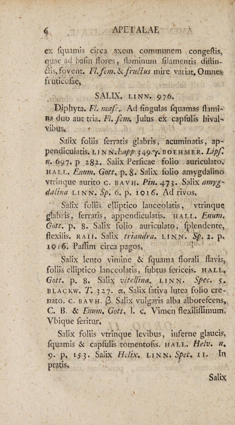 f APETALAE ' : > i '• - ex fquanfls circa a^em communem congeflis, quae ad hafln flores, flaminum filamentis diflrn- ais,fovent. Fl.fim. & fmtlfts mire variat. Omnes fruticofae, SALIX, linn. 976, Diphyta. FI. imfcv Ad fingulas fquamas flami¬ na duo aut tria. Fi. fm. julus ex capfulis bival-* Salix foliis ferratis glabris, acuminatis, ap¬ pendicularis. LI N IS ,h(ipp 349 7. BOEHMER. L,pf. n. 697. p 282. Salix Perficae folio auriculato, ei a l l. Enim. Gott, p, 8» Salix folio amygdalino Ytrinque aurito c. bavh. Pin. 473. Salix amyg¬ dalina linn. fy. 6. p. 1016, Ad rivos, Salix foliis elliptico lanceolatis, vtrinque glabris, ferratis, appendicula tis. iiall. Enuru. Gott. p, 8. Salix folio auriculato, fplen dente, flexilis, ra 11» Salix mandra, linn. Sp. 2. p« 1Q16. Paflim circa pagos, d‘“' Salix lento vimine & fquama florali flavis, foliis elliptico lanceolatis, ftibtus fericeis. hall, Gott. p. 8. Salix vitellina, linn. Spec. $. blac kw. T. 327. ct. Salix fativa lutea folio cre* nato. g. bavh. (3. Salix vulgaris alba alborefcens*. C. 13. & Emm. Gott, l. c. Vimen flexiliflimum, Vbique feritur. Salix foliis vtrinque levibus, inferne glaucis, fquamis & capfiilis tomentofis. hall. Helv. 9. p, 15 3. Salix Helix. linn. Spec* 11. In * ' v ' * Salix