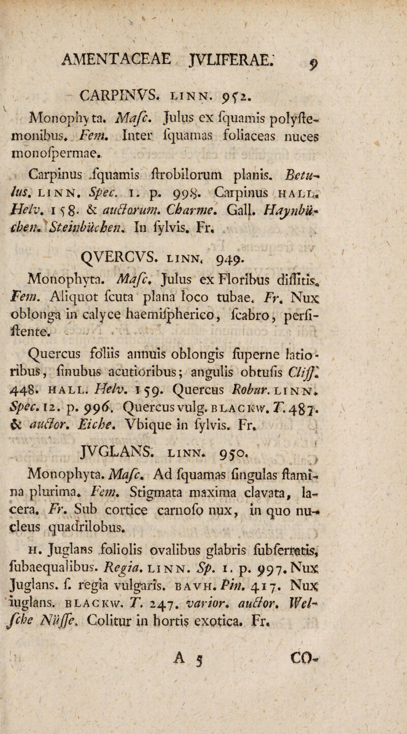 CARPINVS. linn. 9?2. Monophyta. Mafc. Julus cx fquamis polyfle- monibus* Fem. Inter fquatnas foliaceas nuces monofpermae. Carpinus .fquamis ftrobilorum planis. Betu- lus. linn. Spec. i. p. 998. Carpinus hall, FJelv. i s8- & au Boram. Cbarme. Gall. Haynhu^ chen. Stehibuchen. In fylvis. Fr. QVERCVS. linn4 949. Monophyta. Mafc. Julus ex Floribus dilfitis* Fem. Aliquot fcuta plana loco tubae. Fr. Nux oblonga in calyce haemiipherico, fcabro, perii- flente. - « . • • Quercus fdliis annuis oblongis fliperne latio¬ ribus, linubus acutioribus; angulis obtufis CliJJl 448. hall. Helv. 159. Quercus Robur, linn* Spec. 12. p. 996. Quercus vulg. blac kw. T. 487« & auBor. Eiche. Vbique in fylvis. Fr. JVOLANS, linn. 950. Monophyta. Mafc. Ad fquamas Ungulas Hami- na plurima. Fem. Stigmata maxima clavata, la¬ cera. Fr. Sub cortice carnofo nux, in quo nu¬ cleus quadrilobus. h. Juglans foliolis ovalibus glabris liibferretis, fubaequalibus. Regia, linn. Sp. 1. p. 997.Nux Juglans, f. regia vulgaris, bavh. Pin. 417. Nux iuglans. blackw, T. 247. varior. auBor. Wel~ fche Nufte. Colitur in hortis exotica. Fr. A 5 €0- 1