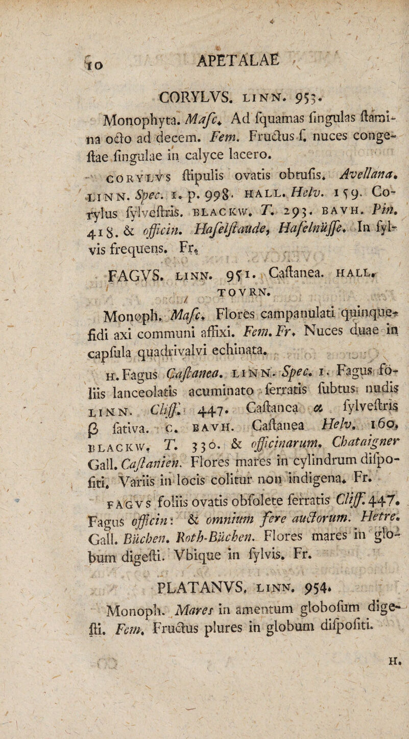 q0 APETALAE V CORYLVS. linn. 953« Monophyta. Mafc+ Ad fquamas fingulas flami¬ na odo ad decem. Fem. Frudus f. nuces conge- dae lingulae in calyce lacero. corylvs ffipulis ovatis obrufis. Avellana• •Li n N. Spec. i. p. 998* hall. Heiv. i ^9’ Co¬ rylus fylveflris. blackw. T. 293. bavh. Pin. 41$, & officin. Hafelftaude, Hafelnuffe♦ In fyl» vis frequens. Fr« FAGVS. linn. gfi. Caflanea. hall. TOVRN. .. } .» . v ■ .. i ,/ *v -• - ' * - ■ * ‘ '■**••• -• Monoph. ALz/L Flores campanulati quinque-? fidi axi communi affixi. Fem. FK Nuces duae in capfula quadrivalvi echinata. h.Fagus Cafianea. linn* Spec• 1. Fagus fo¬ liis lanceolatis acuminato ferratis fubtus nudis linn. Cltjf 447. Caflanea a fylveflris |3 fativa. c. bavh. Caflanea IPelv, 160» blackw. T. 330.1 & officinarum. Chataigner Gall. Caji ani en. Flores mares in cylindrum difpo- fiti. Variis in locis colitur non indigena* Fr. fagvs foliis ovatis obfolete ferratis Cliff 447* Fagus officin: & omnium fere auclorum. Hetre* Gall. Buchen. Roth-Buchen. Flores mares in glo¬ bum digefli* Vbique in fylvis. Fr. . * v .v. ’ *** * * c v .1.*- * ’ 4 PLATANVS, linn. 954. Monoph. Marer in amentum globofiim dige¬ fli. Fem. Frudus plures in globum difpofiti. H.