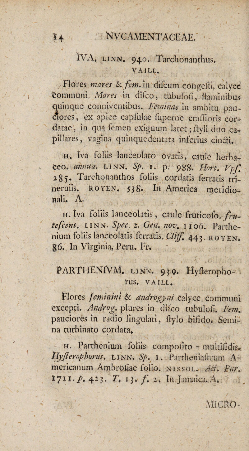 <1* lVA# linn. 940. Tarchonanthus* VAIL^. / Flores mares & fem. 111 difeum congefii, caiycc tommuni. Mares Isi difco, tubulofiflaminibus- quinque cpnniventibus, Feminae In ambitu pau¬ ciores , ex apice capfulae fuperne crafiiorrs cor¬ datae, in qtia femen exiguum latet; ftyli duo ca¬ pillares, vagina quinquedentata inferius cin&i. h. Iva foliis lanceolato ovatis, caule herba¬ ceo, amnia, linn. Sp. 1. p. 988. Hort. Vpfi 28 v Tarchonanthos foliis cordatis ferratis tri¬ nomiis. Royen. 538. In America meridio¬ nali. A. h. Iva foliis lanceolatis, caule fruticofo. fni- te flens. linn. Spec. 2. Gen. nov. 1106. Parthe- ilium foliis lanceolatis ferratis, Clijfl 443, royen* g6. In Virginia, Peru. Fr. . . ' . / A - * -• i i PARTHENIVM. linn. 9 3 q. Hyfteropho- rus. VA ILL. Flores feminini & androgyni calyce communi excepti. Androg. plures in difco tubulof. Fem. pauciores in radio lingulati, ftylo bifido» Semi¬ na turbinato cordata* h. Parthenium foliis compofito - multifidis. Flyfler ephorus. linn. Sp. 1. Partheniafirum A- mericanum Ambrofiae folio, ni ssol. Aci, Far.