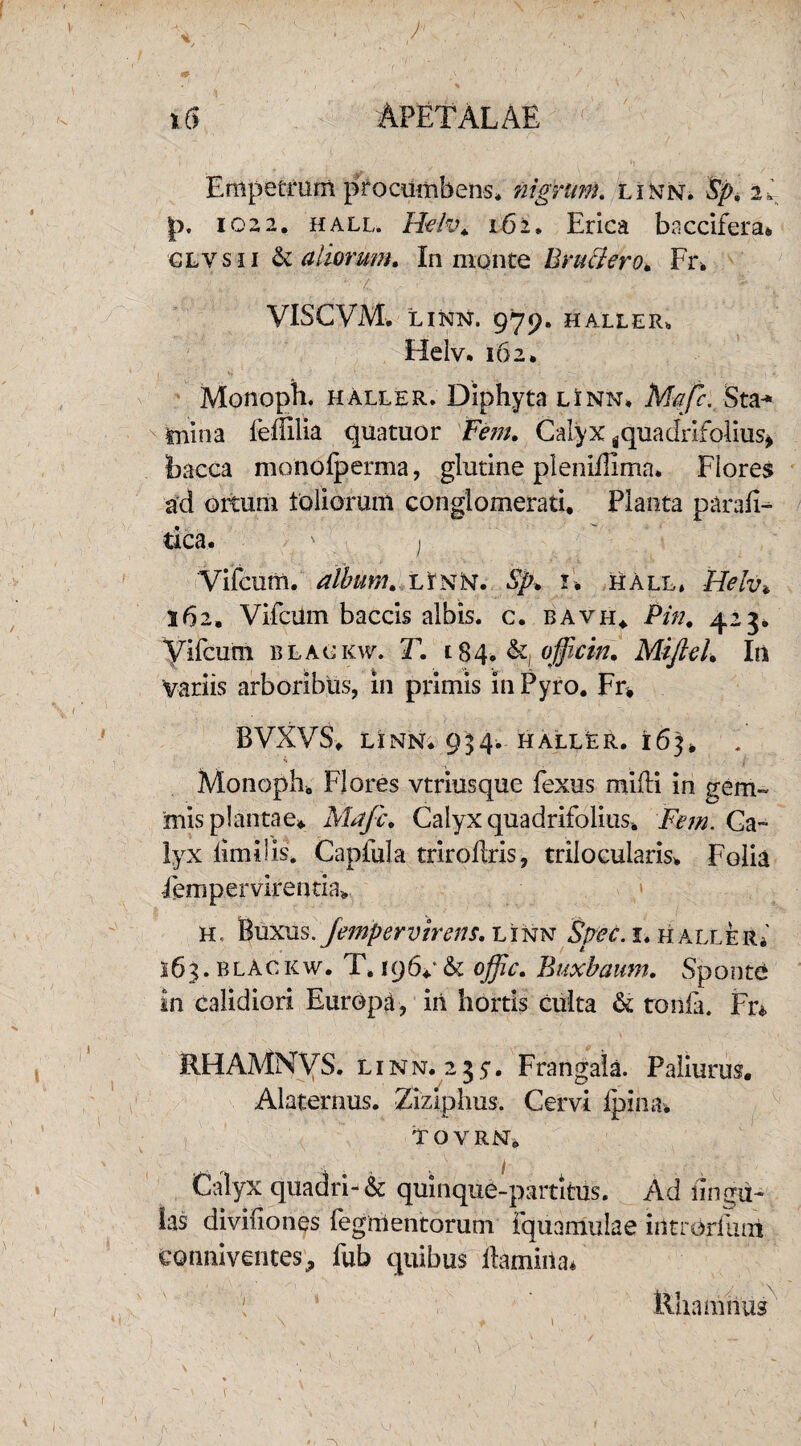 Empetrum procumbens* nigrum, linn. $pv ii 1022. hall. Heiv> 162* Erica baccifera* glvsii & aliorum. In monte Bru&ero. Fr* '1A % - \ ' rirk VISCVM. LINN. 979. HALLER* Helv, 162. Monoph. hAller. Diphyta linn* Mafc. Sta¬ mina feffilia quatuor Fem. Calyx gquadrifolius, ibacca monolperma, glutine pleniilima* Flores ad ortum loliorum conglomerati. Planta parafi- tica. ' ) Vifcum. album, linn. Sp. 1. hall, tielv* 262, Vifcum baccis albis, c. bavh* Pin. 423. yifcum blac kw. T. 184. &, officin. Mifteh In variis arboribus, in primis in Pyro. Fr, BVXVS* LINN* 934. HALLfeR. 163, a Monoph, Flores vtriusque fexus mifii in gem¬ mis plantae* Mafc. Calyx quadrifolius* Fem. Ca¬ lyx limilis. Capfula triroftris, trilocularis* Folia Fempervirentia* H, Buxus. Jempervirens. linn Spec. 1. haller* 163.Blackw. T, 196**& ojjic. Buxbaum. Sponte in calidiori Europa, iii hortis culta & tonia. Fr* RHAMNVS. linn. 235. Frangak. Paliurus. Alaternus. Ziziphus. Cervi fpina. t o v rn. Calyx quadri-& quinque-partltus. Ad lingu¬ las divino nes Tegmentorum fquamulae introrlum eoiimventes^ fub quibus ilamiiia* % 1 tlhamnus