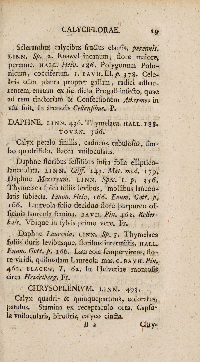 Sclerantlius calycibus fructus claufls. perenmtl Linn. Sp. 2. Knaivel incanum, flore maiore, perenne, hall. Helv, 186, Polygonum Polo- mcum, cocciferum. i. bavh.III.p. 378. Cele¬ bris olim planta propter gallam, radici adhae¬ rentem, enatam ex fle dicio Progall-infe&o, quae ad rem tin&oriam & Confe&ionem Alkermes in vfu fuit4 In arenofls Gellenjibus. P* DAPHNE, linn. 436. Thymelaea. hAll. 18S* TOVRN. 3 66% Calyx petalo fimilis, caducus, tubulofus, lirn^ bo quadrifldo. Bacca vnilocularis. Daphne floribus feflilibus infra folia elliptice- lanceolata. linn-. CUjf, i4j.M4t,med+ 179* Daphne Mezereum. linn. Spec. 1. p, 356* Thymelaea fpica foliis levibus , mollibus lanceo- latis fubiecta. Enum, Helv. 166. Enim, GotK p„ 166, Laureola folio deciduo flore purpureo of¬ ficinis laureola femina, bavh. Pin, 462. Keller» hals, Vbique in fylvis primo vere. Fr. Daphne Laureola. linn* Sp. 5* Thymelaea foliis duris levibusque, floribus intermiftis. hall*. Enum, Gott, p. 166. Laureola fempervirens, flo¬ re viridi, quibusdam Laureola mas* e. bavh.P/V/. 46 2. blackw* 7. 62, In Helvetiae montofl^ circa Heidelberg, Fr* CHRYSOPLENIVAL linn. 493* Calyx quadri- & quinquepartitus, coloratus* patulus. Stamina ex receptaculo orta, Capflx~ la vnilocularis, biroflris, calyce cin&a* , U 2 Chrf*