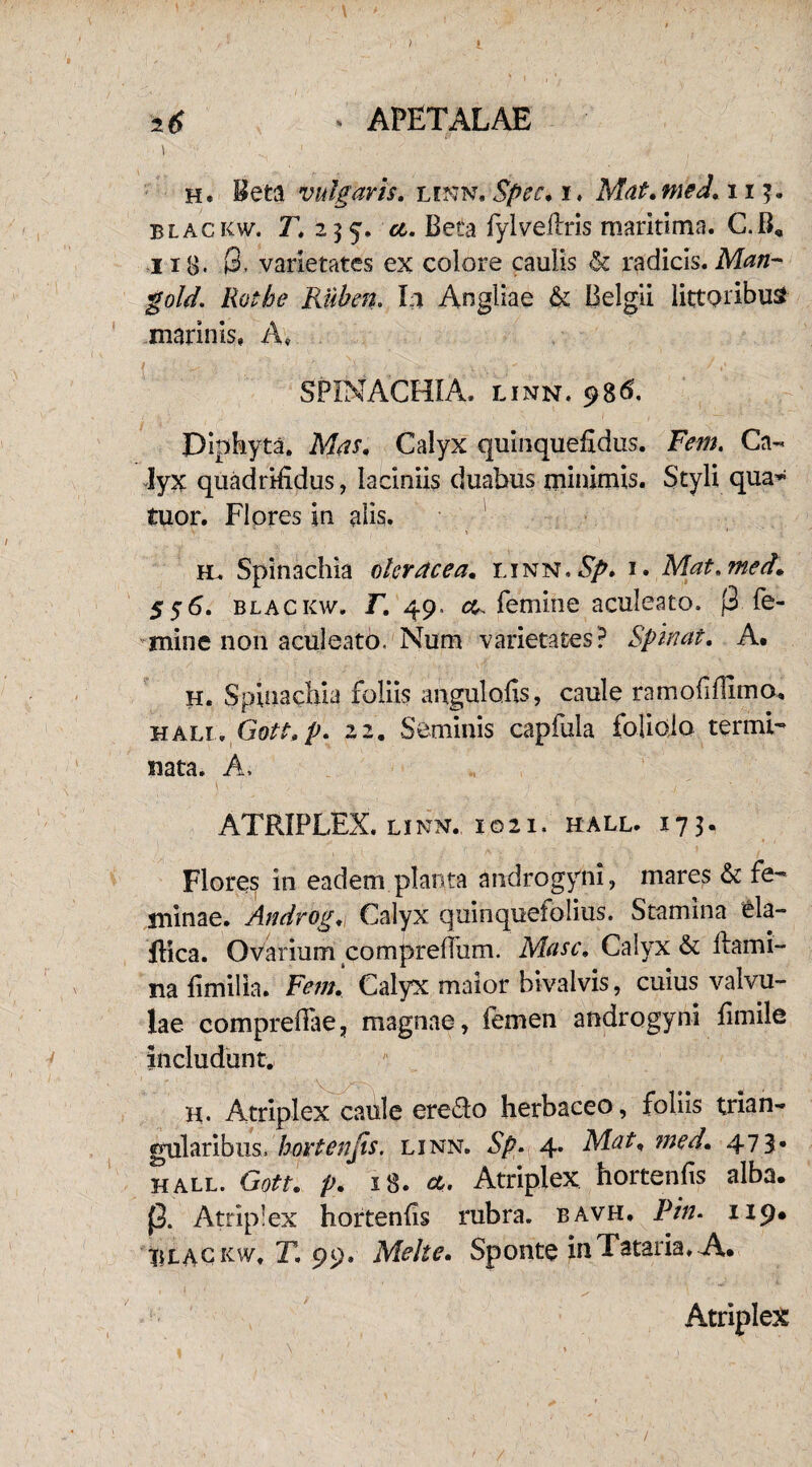 \ h. Meta vulgaris, linn. Spec. i. Mat.med. 11 3. blac kw. T, 235, ci. Beta fylvellris maritima. C.B, HB. (3. varietates ex colore caulis & radicis. Man- gold. Rothe Riiben. Ia Arsgliae & Belgii littQiibus marinis» A» SPINACHIA. linn. 986. Diphyta. Mas. Calyx quinquefidus. Fem. Ca¬ lyx quadrifidus, laciniis duabus minimis. Styli qua- tuor. Flores in alis. h, Spinachia oleracea. linn.5^* i. Mat.med,. 5 $6. blacicw. F. 49. femine aculeato. (3 fe¬ mine non aculeato. Num varietates? Spinat. A. h. Spinachia foliis angulofis, caule ramofiflimo, hali. Gott.p. 22. Seminis capfula foliolo termi¬ nata. A. ) .. i , : ■ , j ' ■ . ' . ATRIPLEX. LINN. 1021. HALL. 173. Flores in eadem planta androgyni, inares & fe¬ minae. Androg. Calyx quinquefolius. Stamina &la- ifica. Ovarium compreilum. Masc. Calvx & Hami- na fimilia. Fem. Calyx maior bivalvis, cuius valvu¬ lae comprefiae, magnae, iemen androgyni fimile includunt. H- Atriplex caule ere&o herbaceo, foliis trian¬ gularibus. hortenfis. linn. Sp. 4. Mat. ?ned. 473* HALL. Gott. p. 18. <*. Atriplex hortenfis alba, p. Atriplex hortenfis rubra, bavh, Pin. 1x9« iftLACKW. T. 99, Melte. Sponte in Tataria♦ A. Atriplex