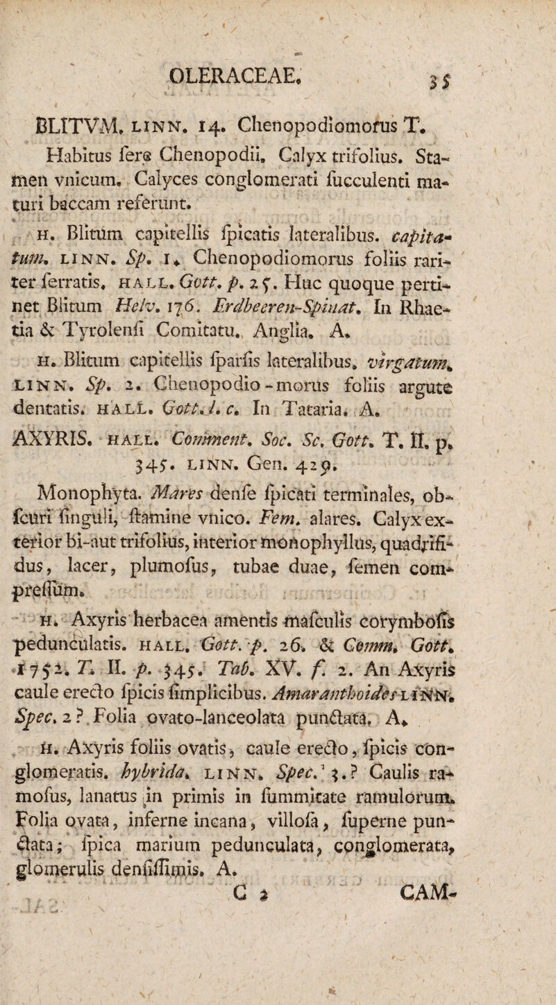 BLITVM. linn. 14. Chenopodiomorus T. Habitus fers Chenopodii. Calyx trifolius. Sta¬ men vnicum, Calyces conglomerati fucculenti ma¬ turi baccam referunt. h. Blitum capitellis lpicatis lateralibus, capita- tum, linn. Sp, i* Chenopodiomorus foliis rari- ter ferratis* hau. Gott, p, 2f. Huc quoque perti¬ net Blitum Helv, 176. Erdbeeren-Spiuat, In Rhae- tia & Tyrolenfi Comitatu. Anglia. A* h. Blitum capitellis fparfis lateralibus* virgatum* Linn. Sp, 2. Ghenopodio-morus foliis argute dentatis, hall. Gott, l, c. In Tataria. A. AXYRIS. hall. Cwment. Soc, Sc. Gott, T. II» p* 345. linn. Gen. 425*. Monophyta. Mares denfe ipicati terminales, ob- fcuri hnguii, Ifamine vnico. Fem* alares. Calyx ex¬ terior bi-aut trifolius, interior tnOflophyllus, quadjrifL dus, lacer, plumofus, tubae duae, femen com* prefliim. h. Axyris herbacea amentis mafculis corymbods peduncularis, hall, Gott. p. 26. & Gomm, Gott* 1752. T* II. p. 345. Tab, XV, f 2. An Axyris caule eredo fpicis fimplicibus. Amaranthoides LiWNi Spec* 2 ?, Folia ovato-lanceolata pundata, A* H. Axyris foliis ovatis-9 caule eredo, fpicis con¬ glomeratis. hybrida \ linn* Specd 3.? Caulis ra- mofus, lanatus .in primis in fiimmitate ramulorum. Folia ovata, inferne incana, villofa, fu per ne pun- data; ipica marium pedunculata, conglomerata, glomerulis denliflimis. A. C % CAM«