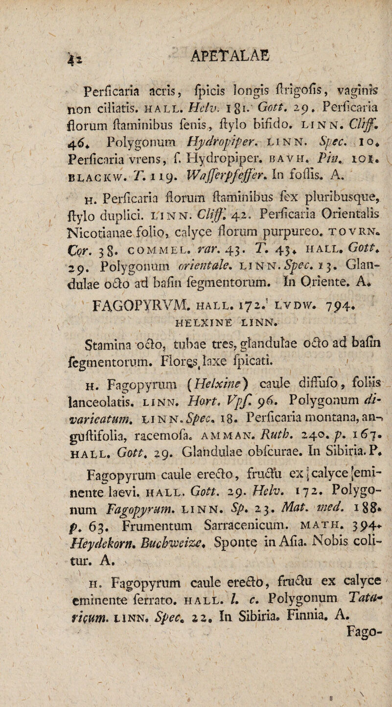 'Wt Perficaria acris, fpicis longis flrigofis, vaginis non ciliatis, hall. Hdv. igi. Gott. 29. Pedicam florum flaminibus fenis, fiylo bifido, linn. Ctiff. 4 6+ Polygonum Hydropi per. linn. Sp.ec, 10* Perficaria vrens, fi Hydropiper. bavh. Piu. 101. BLACKw. T. 119. Wa flerpfeffer. In fodis. A. H. Perficaria florum flaminibus fex pluribusque, flylo duplici, linn. Cliffl 42. Perficaria Orientalis Nicotianae folio, calyce floram purpureo, tovrn. Cor. 3§. commel. Tcir. 43• T. 43* hall, Gott*. 29. Polygonum orientale. linn.Spec. 13. Glan¬ dulae odo ad hafm fegmentorum. In Oriente. A* FAGOPYRVM. hall. 172.' lvpw. 794, HELXINE LINN. Stamina odo, tubae tres, glandulae odo ad bafin fegmentorum. Flor^laxe fpicati. H. Fagopyrum (Helxine) caule diffufo, foliis lanceolatis. linn. Hort. Vpf. 96. Polygonum di¬ varicatum. linn.Spec* 18. Perficaria montana,an-» guftifolia, racernofa. ammak. M. 240./?. 167. hall. Gott, 29. Glandulae obfcurae. In Sibina. P, Fagopyrum caule eredo, frudu ex | calyce ■emi¬ nente laevi, hall. Gott. 29. Helv. 172. Polygo¬ num Fagopyrum. linn. Sp. 23. Mat. med. 188» p. 63. Frumentum Sarracenicum. math, 394* Heydekorn. Buchweize* Sponte inAfia. Nobis coli¬ tur. A. h. Fagopyrum caule eredo, frudu ex calyce ' eminente ferrato, hall. /. c. Polygonum Tata- ricam, linn, Specm 22. In Sibiria. Finnia. A. Fago- s