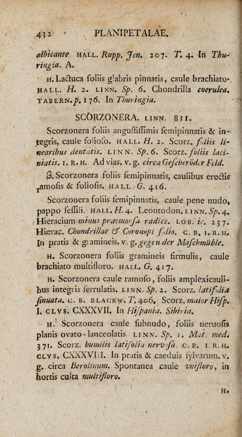 9 PLANIPETALAE. Micante, hall. Rupp. Jen. 207. T. 4. In Thu¬ ringi a, A. H.Laduca foliis glabris pinnatis, caule brachiato* hall. H. 2. linn. Sp. 6. Chondrilla coerulea* tabern./?. 1 76. InThuringia. SCOrZONERA. linn. 8 i i. Scorzonera foliis angufliflirtiis femipinnatis & in¬ tegris, caule foliofo. hall. H. 2. Scorz. foliis li¬ nearibus dentatis. linn. Sp. 6. Scorz. foliis laci- niatis. 1. r. h. Ad vias. v. g. circa GefcherbdcrFeld. (3. Scorzonera foliis femipinnatis, caulibus eredis' ramofis & foliolis, hall (7. 416. Scorzonera foliis femipinnatis, caule pene nudo, pappo fefllli, hall.//.4. Leontodon. linn. Sp, 4. Hieraciumminus prapnorfa radice, lob. tc. 237. Hierae. Chondrillae & Corompi folio. c. b4 i. r.h. Xn pratis & giamineis. v. g.gegen der Mafchmuhle. h. Scorzonera foliis gramineis flrmulis, caule brachiato multifloro, hall. G. 417. h. Scorzonera caule ramofo, foliis amplexicauli- bus integris ferrulatis. linn. Sp. 2. Scorz. latifolia Jinuata. c. b. blackw. 71406* Scorz. maiorHifp* I. clvs. CXXXVII. In Hifpania. Sibiria. h. Scorzonera caule fubnudo, foliis neruofls planis ovato-lanceolatis. linn. Sp. 1. jWd/ 371. Scorz. humilis latifolia nervofa. c, b. i r.h. clvs. CXXXVIil. In pratis,& caeduis fylvarum. v. g, circa Berolmum. Spontanea caule vnifloro, in hortis culta multifloro* 9