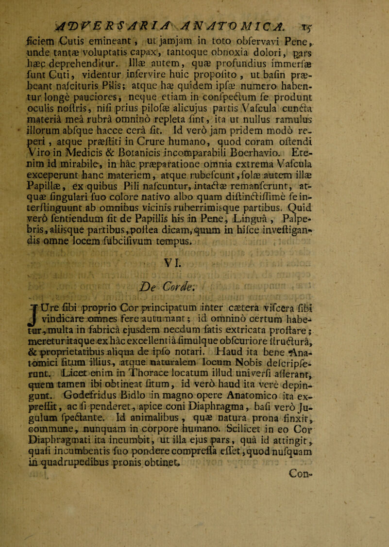 A T>V E R $ A R IA A NATO MICA. xy ficiem Cutis emineant, utjamjam in toto obfervavi Pene, unde tantae voluptatis capax, tantoque obnoxia dolori, pars haec deprehenditur. Illae autem, quae profundius immerfae funtCuti, videntur infervire huic propolito , ut bafin prae¬ beant nalcituris Pilis; atque hae quidem ipfe numero haben¬ tur longe pauciores, neque etiam in conipeftum fe produnt oculis nollris, nifi prius pilofae alicujus partis Vafcula eunda materia mea rubra omnino repleta fint, ita ut nullus ramulus illorum abfque hacce cera lit. Id vero jam pridem modo re- peri , atque praediti in Crure humano, quod coram oftendi Viro in Medicis & Botanicis incomparabili Boerhavio. Ete¬ nim id mirabile, in hac praeparatione omnia extrema Vafcula exceperunt hanc materiem, atque rubefcunt,folae autem illse Papillae, ex quibus Pili nafcuntur,intadse remanferunt, at- quae fingulari luo colore nativo albo quam diltindiilime fein- terftinguunt ab omnibus vicinis ruberrimisque partibus. Quid vero fentiendum fit de Papillis his in Pene, Lingua , Palpe¬ bris, aliisque partibus, pofiea dicam, quum in hifce inveltigam* dis omne locem fubcifivum tempus. • VI. v, '• { V { 1 ' i ' —. •! * . ■ / , - * i/ De Corde: JUre fibi proprio Cor principatum inter caetera vifcera fibi vindicare omnes fere autumant; id omnino certum habe¬ tur-, multa in fabrica ejusdem necdum fatis extricata proflare; mereturitaque ex hac excellentia fimulque obfcuriore itrudura, & proprietatibus aliqua de ipfo notari. Haud ita bene Ana¬ tomici litum illius, atque naturalem locum Nobis delcripfe- runt. Licet enim in Thorace locatum illud univerfi aderant, quem tamen ibi obtineat litum, id vera haud ita vere depin¬ gunt. Godefridus Bidlo in magno opere Anatomico ita ex- preffit, ac fi penderet-, apice coni Diaphragma, bafi vero Ju¬ gulum fpeftante. Id animalibus, quae natura prona finxit, commune* nunquam in corpore humano. Scilicet in eo Cor Diaphragmati ita incumbit, ut illa ejus pars, qua id attingit, quali incumbentis fuo pondere comprefla eflet ,quod nufquam in quadrupedibus pronis obtinet. Con-