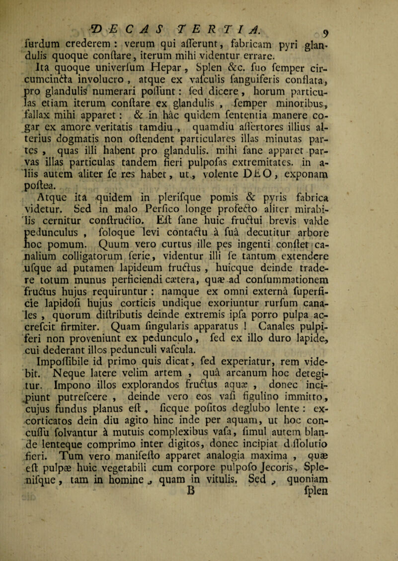 furdum crederem: verum qui aderunt, fabricam pyri glan¬ dulis quoque conflare, iterum mihi videntur errare. Ita quoque univerlum Hepar , Splen &c. fuo femper cir- cumcinda involucro , atque ex vafculis ianguiferis conflata, pro glandulis numerari poliunt: fcd dicere, horum particu¬ las etiam iterum conflare ex glandulis , femper minoribus, fallax mihi apparet: & in hac quidem fententia manere co¬ gar ex amore veritatis tamdiu , quamdiu aHertores illius al¬ terius dogmatis non oflendent particulares illas minutas par¬ tes , quas illi habent pro glandulis, mihi fane apparet par¬ vas illas particulas tandem fieri pulpofas extremitates, in a- liis autem aliter fe res habet, ut., volente DhO, exponam portea. Atque ita quidem in plerifque pomis & pyris fabrica videtur. Sed in malo Perfico longe profedo aliter mirabi¬ lis cernitur conftrudio. Eli fane huic frudui brevis valde pedunculus , foloque levi contadu & fua decutitur arbore hoc pomum. Quum vero curtus ille pes ingenti conflet ca¬ nalium colligatorum ferie, videntur illi fe tantum extendere .ufque ad putamen lapideum frudus , huicque deinde trade¬ re totum munus perficiendi cetera, quae ad conlummationem frudus hujus requiruntur : namque ex omni externa fuperfi- cie lapidofi hujus corticis undique exoriuntur rurfum cana¬ les , quorum diflributis deinde extremis ipfa porro pulpa ac- crefcit firmiter. Quam fingularis apparatus ! Canales pulpi- feri non proveniunt ex pedunculo, fed ex illo duro lapide, cui dederant illos pedunculi vafcula. Impoflibile id primo quis dicat, fed experiatur, rem vide¬ bit. Neque latere velim artem , qua arcanum hoc detegi¬ tur. Impono illos explorandos frudus aqua? , donec inci¬ piunt putrelcere , deinde vero eos vafi figulino immitto, cujus fundus planus eft * ficque pofitos deglubo lente : ex- corticatos dein diu agito hinc inde per aquam, ut hoc con- cuflu folvantur & mutuis complexibus vafa, fimul autem blan¬ de lenteque comprimo inter digitos, donec incipiat d.flolutio fieri. Tum vero manifeflo apparet analogia maxima , quae eft pulpae huic vegetabili cum corpore puipofo Jecoris, Sple¬ niique , tam in homine quam in vitulis, Sed ^ quoniam B fplen