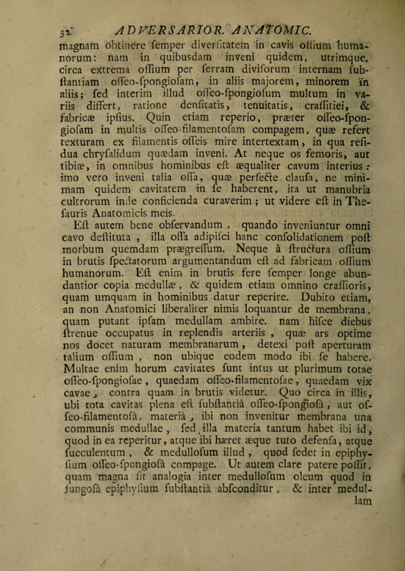 magnam obtinere femper diverfitatem in cavis ofiium huma¬ norum: nam in quibusdam inveni quidem, utrimque, circa extrema odium per ferram diviforum internam fub- ltantiam ofteo-fpongioiam, in aliis majorem, minorem in aliis; fed interim .illud oiTeo-fpongiofum multum in va¬ riis differt, ratione denfitatis, tenuitatis, craftitiei, & fabricae ipfius. Quin etiam reperio, praeter olfeo-fpon- giofam in multis offeo-filamentofam compagem, quae refert texturam ex filamentis odeis mire intertextam, in qua refi- dua chryfalidum quaedam inveni. At neque os femoris, aut tibiae, in omnibus hominibus eft aequaliter cavum interius: imo vero inveni talia offa, quae perfefte claufa, ne mini¬ mam quidem cavitatem in fe haberent, ita ut manubria cultrorum inde conficienda curaverim ; ut videre eft in The- fauris Anatomicis meis. Eft autem bene obfervandum , quando inveniuntur omni cavo deftituta , illa offa adipifci hanc confolidationem poft morbum quemdam praegreffum. Neque & ftrutftura odium in brutis fpeftatorum argumentandum eft ad fabricam oflium humanorum. Eft enim in brutis fere femper longe abun- dantior copia medullae , & quidem etiam omnino craftioris, quam umquam in hominibus datur reperire. Dubito etiam, an non Anatomici liberaliter nimis loquantur de membrana, quam putant ipfam medullam ambire, nam hifce diebus ftrenue occupatus in replendis arteriis , quae ars optime nos docet naturam membranarum , detexi poft aperturam talium offium , non ubique eodem modo ibi fe habere. Multae enim horum cavitates funt intus ut plurimum totae offeo-fpongiofae, quaedam ofteo-filamentofae, quaedam vix cavae ^ contra quam in brutis videtur. Quo circa in illis, ubi tota cavitas plena eft fubftantia ofleo-fpongiofa, aut of- feo-filamentofa, materia ibi non invenitur membrana una communis medullae, fed illa materia tantum habet ibi id, quod in ea reperitur, atque ibi haeret aeque tuto defenfa, atque fucculentum , & medullofum illud , quod fedet in epiphy- fium offeo-fpongiofa compage. Ut autem clare patere podit, quam magna fit analogia inter medullofum oleum quod in iungofa epiphyfium fubftantia abfconditur > & inter medul-