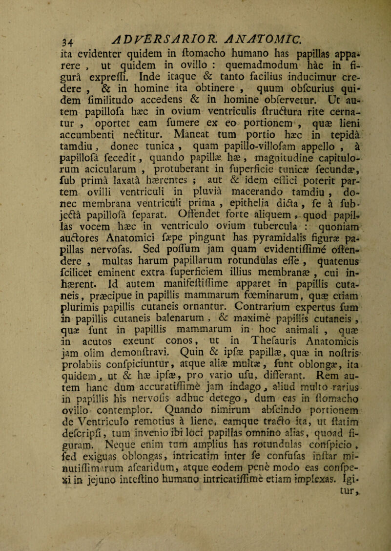 ita evidenter quidem in ftomacho humano has papillas appa* rere , ut quidem in ovillo : quemadmodum hac in fi¬ gura exprefli. Inde itaque & tanto facilius inducimur cre¬ dere , & in homine ita obtinere , quum obfcurius qui¬ dem fimilitudo accedens & in homine obfervetur. Ut au¬ tem papillofa hxc in ovium ventriculis ffruftura rite cerna¬ tur , oportet eam fumere ex eo portionem , quas lieni accumbenti nedditur. Maneat tum portio hxc in tepida tamdiu , donec tunica , quam papillo-villofam appello , k papillofa fecedit, quando papillae, hae , magnitudine capitulo¬ rum acicularum , protuberant in fuperficie tunicae fecundae, fub prima laxata haerentes ; aut & idem effici poterit par¬ tem ovilli ventriculi in pluvia macerando tamdiu , do¬ nec membrana ventriculi prima , epithelia di&a , fe k fub- je<da papillofa feparat. Offendet forte aliquem > quod papil¬ las vocem haec in ventriculo ovium tubercula : quoniam auddores Anatomici fepe pingunt has pyramidalis figura? pa¬ pillas nervofas. Sed poffum jam quam evidentiffimd offen¬ dere , multas harum papillarum rotundulas effe , quatenus fcilicet eminent extra fuperficiem illius membranae , cui in¬ haerent. Id autem manifeftiffime apparet in papillis cuta¬ neis, praecipue in papillis mammarum foeminarum, quae etiam plurimis papillis cutaneis ornantur. Contrarium expertus fum in papillis cutaneis balenarum , & maxime papillis cutaneis , qua? funt in papillis mammarum in- hoc animali , quae in acutos exeunt conos, ut in Thefauris Anatomicis jam olim demonftravi. Quin & ipfse papillae, quae in noftris prolabiis confpiciuntur, atque aliae multa?, funt oblonga?, ita quidem ut & hae ipfae, pro vario ufu, differant. Rem au¬ tem hanc dum accuratiffime jam indago ^ aliud multo rarius in papillis his nervoiis adhuc detego , dum eas in flomacho ovillo contemplor. Quando nimirum abfcindo portionem de Ventriculo remotius k liene, eamque trado ita, ut ffatim defcripfi, tum invenio ibi loci papillas omnino alias, quoad fi¬ guram. Neque enim tum amplius has rotundulas confpicio , fed exiguas oblongas, intricatim inter fe confufas inftar mi- nutiffimarum afcaridum, atque eodem pene modo cas confpe- xiin jejuno inteftino humano intricatiffime etiam implexas. Igi¬ tur ^