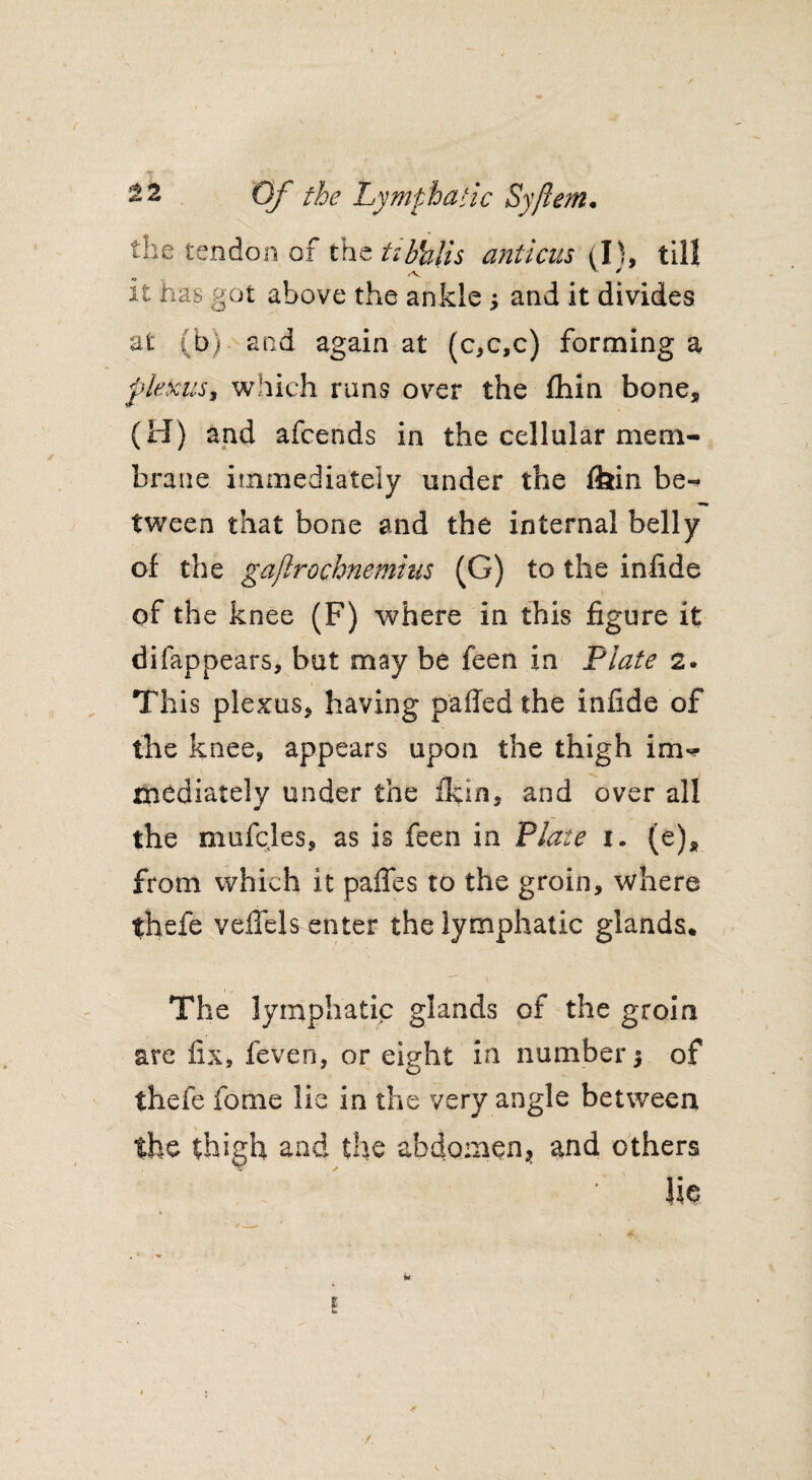 the tendon of the hbblis anticus (I), till it has got above the ankle; and it divides at (b)- and again at (c,c, c) forming a plexus, which runs over the fhin bone, (H) and afcends in the cellular mem¬ brane immediately under the fhin be¬ tween that bone and the internal belly of the gaflrochnemius (G) to the inlide of the knee (F) where in this figure it difappears, but may be feen in Plate 2. This plexus* having palled the infide of the knee* appears upon the thigh inw mediately under the £kin, and over all the mufcles, as is feen in Plate 1. (e), from which it paffes to the groin, where thefe veffels enter the lymphatic glands. The lymphatic glands of the groin are fix, feven, or eight in number 5 of thefe fome lie in the very angle between the thigh and the abdomen* and others \ ' ’ ' Ik