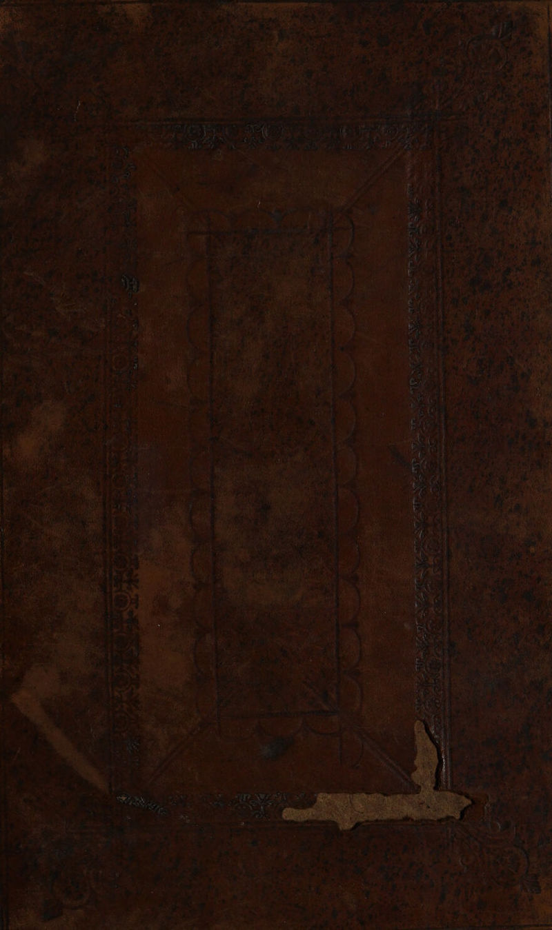 No text description is available for this image