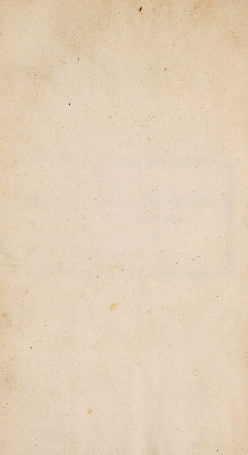 1 * / \ 4 t •v r1 • \ •* •i i