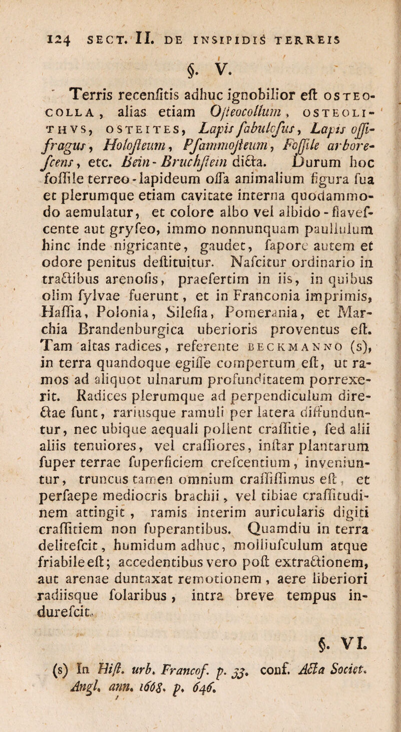 §. V. Terris recenlitis adhuc ignobilior eft osteo- colla , alias etiam Ojieocollum, osteoli- thvSj osteites, Lapisfabulcfus, Lapis ojji- fragur, Hoiojleum, Pfammojhum, Fofjile arbore- fcens y etc. Btin~ Bruchjtem &i£ta. Durum hoc follile terreo-lapideum offa animalium figura fua et plerumque etiam cavitate interna quodammo¬ do aemulatur, et colore albo vei albido - fiavef- cente aut gryfeo, immo nonnunquam paulluium hinc inde nigricante, gaudet, fapore autem et odore penitus deftituitur. Nafcitur ordinario in tra&ifaus arenolis, praefertim in iis, in quibus olim fylvae fuerunt, et in Franconia imprimis, Haflia, Poionia, Silefiia, Pomerania, et Mar- chia Brandenburgica uberioris proventus eft. Tam 'altas radices, referente beckma nno (s), in terra quandoque egiffe compertum eft, ut ra¬ mos ad aliquot ulnarum profunditatem porrexe¬ rit. Radices plerumque ad perpendiculum dire- filae funt, rariusque ramuli per latera diffundun¬ tur, nec ubique aequali polient craffitie, fed alii aliis tenuiores, vel craUiores, initar plantarum fuper terrae fuperficiem crefcentium, inveniun¬ tur, truncus tamen omnium crafliflimus eftt et perfaepe mediocris brachii, vei tibiae craffitudi- nem attingit , ramis interim auricularis digiti craffitiem non fuperantibus. Quamdiu in terra delitefcit, humidum adhuc, moiiiufculum atque friabile eft; accedentibus vero poft extrafitionem, aut arenae duntaxat remotionem , aere liberiori radiisque folaribus, intra breve tempus in- dure Icit,. §. VI. (s) In Ei fi. urb* Francof. p. jja conf. Abi a Sociat. Angi, ann. i66$. p. 646.