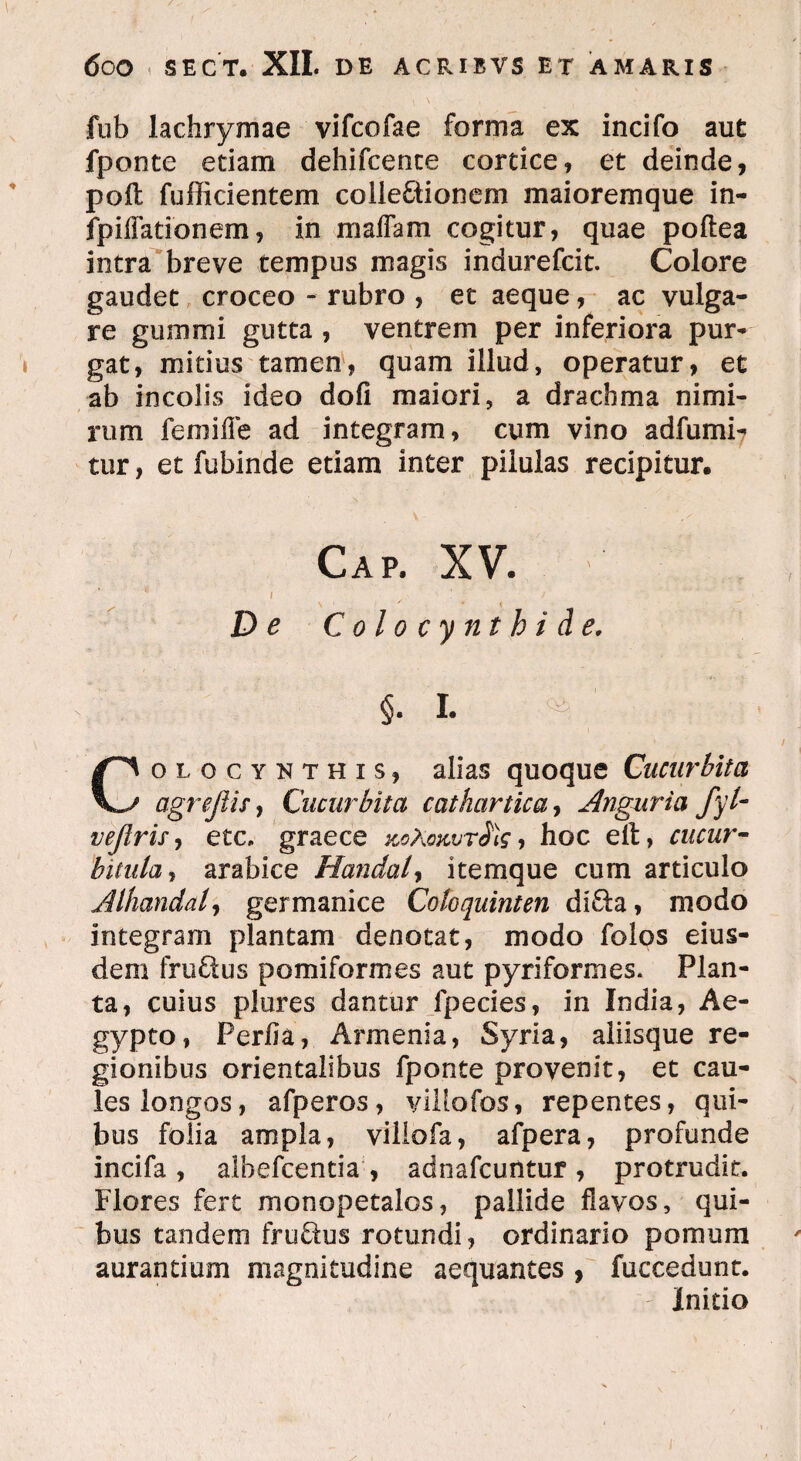 fub lachrymae vifcofae forma ex incifo aut fponte edam dehifcente cordce, et deinde, poft fufficientem collectionem maioremque in- fpiffationem, in maffam cogitur, quae poftea intra breve tempus magis indurefcit. Colore gaudet croceo - rubro , et aeque, ac vulga¬ re gumini gutta , ventrem per inferiora pur¬ gat, mitius tamen, quam illud, operatur, et ab incolis ideo dofi maiori, a drachma nimi¬ rum femiffe ad integram, cum vino adfumi7 tur, et fubinde etiam inter pilulas recipitur. Cap. XV. i * ' \ / ^ De Colocynthide. §. I. Colocynthis, alias quoque Cucurbita ogrejlis, Cucurbita cathartica, Angaria fyl- vejlris, etc, graece koXokvt$\s, hoc elt, cucur¬ bitula, arabice Handal, itemque cum articulo Alhandal, germanice Coloquinten diCta, modo integram plantam denotat, modo folos eius¬ dem fruCtus pomi formes aut pyriformes. Plan¬ ta, cuius plures dantur fpecies, in India, Ae¬ gypto, Perfia, Armenia, Syria, aliisque re¬ gionibus orientalibus fponte provenit, et cau¬ les longos, afperos, villofos, repentes, qui¬ bus folia ampla, villofa, afpera, profunde incifa , albefcentia , adnafcuntur , protrudit. Flores fert monopetalos, pallide flavos, qui¬ bus tandem fru&us rotundi, ordinario pomum aurantium magnitudine aequantes , fuccedunt. Initio