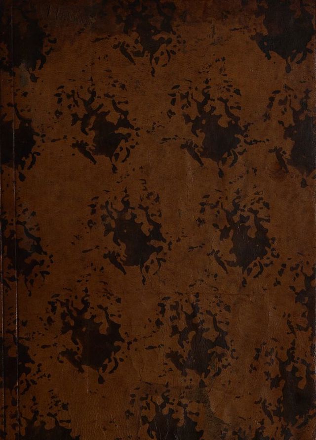 digitised image 1