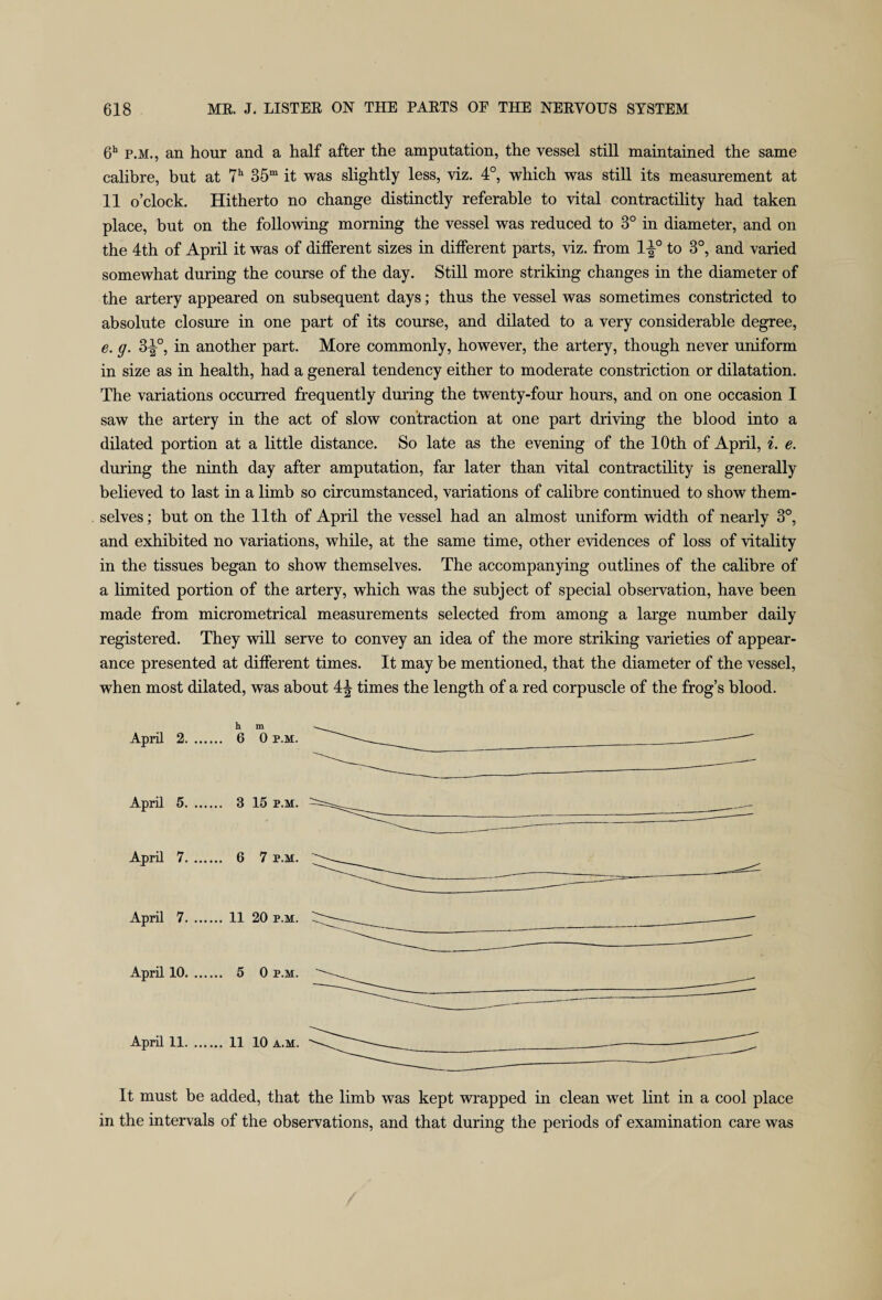 6h p.m., an hour and a half after the amputation, the vessel still maintained the same calibre, but at 7h 35m it was slightly less, viz. 4°, which was still its measurement at 11 o’clock. Hitherto no change distinctly referable to vital contractility had taken place, but on the following morning the vessel was reduced to 3° in diameter, and on the 4th of April it was of different sizes in different parts, viz. from 1-J0 to 3°, and varied somewhat during the course of the day. Still more striking changes in the diameter of the artery appeared on subsequent days; thus the vessel was sometimes constricted to absolute closure in one part of its course, and dilated to a very considerable degree, e. g. 3-|°, in another part. More commonly, however, the artery, though never uniform in size as in health, had a general tendency either to moderate constriction or dilatation. The variations occurred frequently during the twenty-four hours, and on one occasion I saw the artery in the act of slow contraction at one part driving the blood into a dilated portion at a little distance. So late as the evening of the 10th of April, i. e. during the ninth day after amputation, far later than vital contractility is generally believed to last in a limb so circumstanced, variations of calibre continued to show them¬ selves ; but on the 11th of April the vessel had an almost uniform width of nearly 3°, and exhibited no variations, while, at the same time, other evidences of loss of vitality in the tissues began to show themselves. The accompanying outlines of the calibre of a limited portion of the artery, which was the subject of special observation, have been made from micrometrical measurements selected from among a large number daily registered. They will serve to convey an idea of the more striking varieties of appear¬ ance presented at different times. It may be mentioned, that the diameter of the vessel, when most dilated, was about 4^ times the length of a red corpuscle of the frog’s blood. April 2. April 5. April 7. April 7. April 10. April 11. It must be added, that the limb was kept wrapped in clean wet lint in a cool place in the intervals of the observations, and that during the periods of examination care was