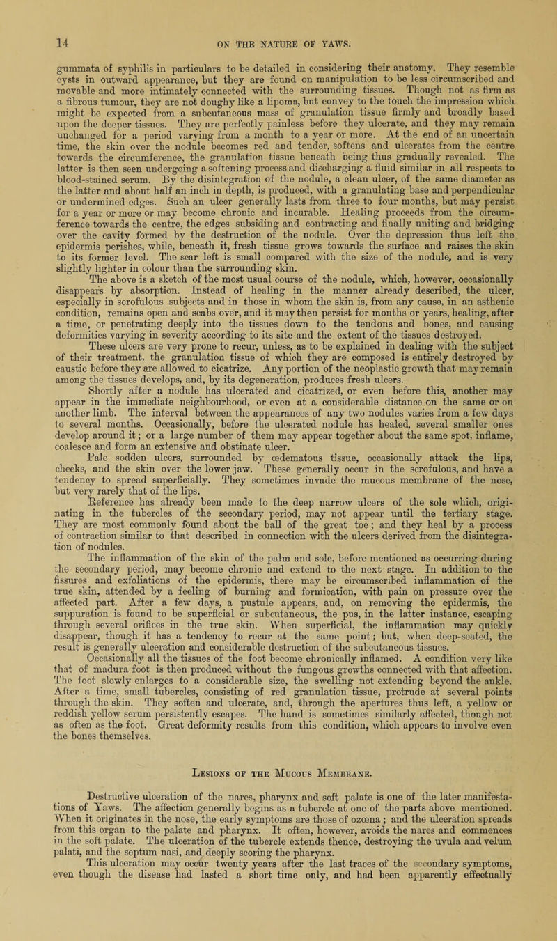 gummata of syphilis in particulars to be detailed in considering their anatomy. They resemble cysts in outward appearance, hut they are found on manipulation to he less circumscribed and movable and more intimately connected with the surrounding tissues. Though not as firm as a fibrous tumour, they are not doughy like a lipoma, but convey to the touch the impression which might be expected from a subcutaneous mass of granulation tissue firmly and broadly based upon the deeper tissues. They are perfectly painless before they ulcerate, and they may remain unchanged for a period varying from a month to a year or more. At the end of an uncertain time, the skin over the nodule becomes red and tender, softens and ulcerates from the centre towards the circumference, the granulation tissue beneath being thus gradually revealed. The latter is then seen undergoing a softening process and discharging a fluid similar in all respects to blood-stained serum. By the disintegration of the nodule, a clean ulcer, of the same diameter as the latter and about half an inch in depth, is produced, with a granulating base and perpendicular or undermined edges. Such an ulcer generally lasts from three to four months, but may persist for a year or more or may become chronic and incurable. Healing proceeds from the circum¬ ference towards the centre, the edges subsiding and contracting and finally uniting and bridging over the cavity formed by the destruction of the nodule. Over the depression thus left the epidermis perishes, while, beneath it, fresh tissue grows towards the surface and raises the skin to its former level. The scar left is small compared with the size of the nodule, and is very slightly lighter in colour than the surrounding skin. The above is a sketch of the most usual course of the nodule, which, however, occasionally disappears by absorption. Instead of healing in the manner already described, the ulcer, especially in scrofulous subjects and in those in whom the skin is, from any cause, in an asthenic condition, remains open and scabs over, and it may then persist for months or years, healing, after a time, or penetrating deeply into the tissues down to the tendons and bones, and causing deformities varying in severity according to its site and the extent of the tissues destroyed. These ulcers are very prone to recur, unless, as to be explained in dealing with the subject of their treatment, the granulation tissue of which they are composed is entirely destroyed by caustic before they are allowed to cicatrize. Any portion of the neoplastic growth that may remain among the tissues develops, and, by its degeneration, produces fresh ulcers. Shortly after a nodule has ulcerated and cicatrized, or even before this, another may appear in the immediate neighbourhood, or even at a considerable distance on the same or on another limb. The interval between the appearances of any two nodules varies from a few days to several months. Occasionally, before the ulcerated nodule has healed, several smaller ones develop around it; or a large number of them may appear together about the same spot, inflame, coalesce and form an extensive and obstinate ulcer. Pale sodden ulcers, surrounded by oedematous tissue, occasionally attack the lips, cheeks, and the skin over the lower jaw. These generally occur in the scrofulous, and have a tendency to spread superficially. They sometimes invade the mucous membrane of the nose, but very rarely that of the lips. Eeference has already been made to the deep narrow ulcers of the sole which, origi¬ nating in the tubercles of the secondary period, may not appear until the tertiary stage. They are most commonly found about the ball of the great toe ; and they heal by a process of contraction similar to that described in connection with the ulcers derived from the disintegra¬ tion of nodules. The inflammation of the skin of the palm and sole, before mentioned as occurring during the secondary period, may become chronic and extend to the next stage. In addition to the fissures and exfoliations of the epidermis, there may be circumscribed inflammation of the true skin, attended by a feeling of burning and formication, with pain on pressure over the affected part. After a few days, a pustule appears, and, on removing the epidermis, the suppuration is found to be superficial or subcutaneous, the pus, in the latter instance, escaping through several orifices in the true skin. When superficial, the inflammation may quickly disappear, though it has a tendency to recur at the same point; but, when deep-seated, the result is generally ulceration and considerable destruction of the subcutaneous tissues. Occasionally all the tissues of the foot become chronically inflamed. A condition very like that of madura foot is then produced without the fungous growths connected with that affection. The foot slowly enlarges to a considerable size, the swelling not extending beyond the ankle. After a time, small tubercles, consisting of red granulation tissue, protrude at several points through the skin. They soften and ulcerate, and, through the apertures thus left, a yellow or reddish yellow serum persistently escapes. The hand is sometimes similarly affected, though not as often as the foot. Great deformity results from this condition, which appears to involve even the bones themselves. Lesions of the Mucous Membrane. Destructive ulceration of the nares, pharynx and soft palate is one of the later manifesta¬ tions of Yaws. The affection generally begins as a tubercle at one of the parts above mentioned. When it originates in the nose, the early symptoms are those of ozcena; and the ulceration spreads from this organ to the palate and pharynx. It often, however, avoids the nares and commences in the soft palate. The ulceration of the tubercle extends thence, destroying the uvula and velum palati, and the septum nasi, and deeply scoring the pharynx. This ulceration may occur twenty years after the last traces of the secondary symptoms, even though the disease had lasted a short time only, and had been apparently effectually