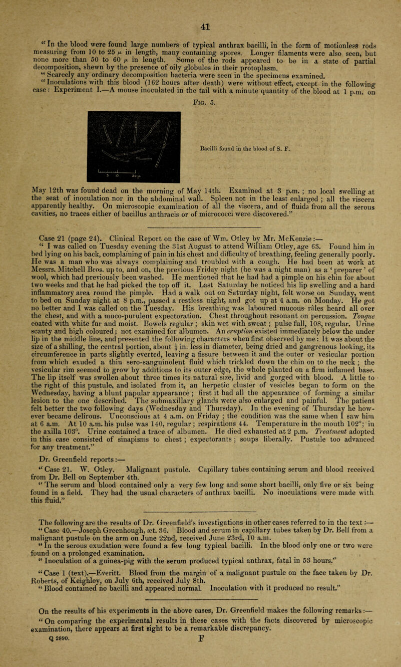 “ In the blood were found large numbers of typical anthrax bacilli, in the form of motionless rods measuring from 10 to 25 ^ in length, many containing spores. Longer filaments were also seen, but none more than 50 to 60 y. in length. Some of the rods appeared to be in a state of partial decomposition, shewn by the presence of oily globules in their protoplasm. “ Scarcely any ordinary decomposition bacteria were seen in the specimens examined. “ Inoculations with this blood (162 hours after death) were without effect, except in the following- case : Experiment I.—A mouse inoculated in the tail with a minute quantity of the blood at 1 p.m. on Fig. 5. Bacilli found in the blood of S. F. May 12th was found dead on the morning of May 14th. Examined at 3 p.m. ; no local swelling at the seat of inoculation nor in the abdominal wall. Spleen not in the least enlarged ; all the viscera apparently healthy. On microscopic examination of all the viscera, and of fluids from all the serous cavities, no traces either of bacillus anthracis or of micrococci were discovered.” Case 21 (page 24). Clinical Report on the case of Wm. Otley by Mr. McKenzie:— “ I was called on Tuesday evening the 31st August to attend William Otley, age 63. Found him in bed lying on his back, complaining of pain in his chest and difficulty of breathing, feeling generally poorly. He was a man who was always complaining and troubled with a cough. He had been at work at Messrs. Mitchell Bros, up to, and on, the previous Friday night, (he was a night man) as a ‘ preparer ’ of wool, which had previously been washed. He mentioned that he had had a pimple on his chin for about two weeks and that he had picked the top off it. Last Saturday he noticed his lip swelling and a hard inflammatory area round the pimple. Plad a walk out on Saturday night, felt worse on Sunday, went to bed on Sunday night at 8 p.m., passed a restless night, and got up at 4 a.m. on Monday. He got no better and I was called on the Tuesday. His breathing was laboured mucous rales heard all over the chest, and with a muco-purulent expectoration. Chest throughout resonant on percussion. Tongue coated with white fur and moist. Bowels regular ; skin wet with sweat; pulse full, 108, regular. Urine scanty and high coloured; not examined for albumen. An eruption existed immediately below the under lip in the middle line, and presented the following characters when first observed by me: It was about the size of a shilling, the central portion, about | in. less in diameter, being dried and gangrenous looking, its circumference in parts slightly everted, leaving a fissure between it and the outer or vesicular portion from which exuded a thin sero-sanguinolent fluid which trickled down the chin on to the neck ; the vesicular rim seemed to grow by additions to its outer edge, the whole planted on a firm inflamed base. The lip itself was swollen about three times its natural size, livid and gorged with blood. A little to the right of this pustule, and isolated from it, an herpetic cluster of vesicles began to form on the Wednesday, having a blunt papular appearance; first it had all the appearance of forming a similar lesion to the one described. The submaxillary glands were also enlarged and painful. The patient felt better the two following days (Wednesday and Thursday). In the evening of Thursday he how¬ ever became delirous. Unconscious at 4 a.m. on Friday ; the condition was the same when I saw him at 6 a.m. At 10 a.m. his pidse was 140, regular ; respirations 44. Temperature in the mouth 102°; in the axilla 103°. Urine contained a trace of albumen. He died exhausted at 2 p.m. Treatment adopted in this case consisted of sinapisms to chest ; expectorants ; soups liberally. Pustule too advanced for any treatment.” Dr. Greenfield reports:— “ Case 21. W. Otley. Malignant pustule. Capillary tubes containing serum and blood received from Dr. Bell on September 4th. “ The serum and blood contained only a very few long and some short bacilli, only five or six being found in a field. They had the usual characters of anthrax bacilli. No inoculations were made with this fluid.” The following are the results of Dr. Greenfield’s investigations in other cases referred to in the text:— “ Case 40.—Joseph Greenhough, set. 36. Blood and serum in capillary tubes taken by Dr. Bell from a malignant pustule on the arm on June 22nd, received June 23rd, 10 a.m. “ In the serous exudation were found a few long typical bacilli. In the blood only one or two were found on a prolonged examination. “ Inoculation of a guinea-pig with the serum produced typical anthrax, fatal in 53 hours.” “ Case 1 (text).—Everitt. Blood from the margin of a malignant pustule on the face taken by Dr. Roberts, of Keighley, on July 6th, received July 8th. “ Blood contained no bacilli and appeared normal. Inoculation with it produced no result.” On the results of his experiments in the above cases, Dr. Greenfield makes the following remarks:— “ On comparing the experimental results in these cases with the facts discovered by microscopic examination, there appears at first sight to be a remarkable discrepancy.