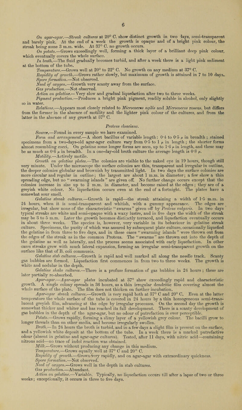On agar-agar.—Streak cultures at 20° C. show distinct growth in two days, semi-transparent and barely pink. At the end of a week the growth is opaque and of a bright pink colour, the streak being some 3 m.m. wide. At 37° 0. no growth occurs. On potato.—Grows exceedingly well, forming a thick layer of a brilliant deep pink colour, which eventually covers the whole surface. In broth.—The fluid gradually becomes turbid, and after a week there is a light pink sediment at the bottom of the tube. Temperature.—Grows well at 20° to 22° C. No growth on any medium at 37° 0. Rapidity of growth.—Grows rather slowly, but maximum of growth is attained in 7 to 10 days. Spore formation.—Not observed. Need of oxygen.—Growth very scanty away from the surface. Gas production.—Not observed. Action on gelatine.— Very slow and gradual liquefaction after two to three weeks. Pigment production.—Produces a bright pink pigment, readily soluble in alcohol, only slightly so in water. Relations.—Appears most closely related to Micrococcus agilis and Micrococcus roseus. but differs from the former in the absence of motility and the lighter pink colour of the cultures, and from the latter in the absence of any growth at 37° C. Proteus cloacinus. Source.—Found in every sample we have examined. Form and arrangement.—A short bacillus of variable length: 0’4 to 0-5 in breadth ; stained specimens from a two-days-old agar-agar culture vary from 0'5 to 1 y in length ; the shorter forms almost resembling cocci. On gelatine some longer forms are seen, up to l'G y in. length, and these may be as much as 0’6 y in breadth. In a one-day-old broth culture the average length is 0-8 y. Motility.—Actively motile. Growth on gelatine plates.—The colonies are visible to the naked eye in 19 hours, though still very minute. Under the microscope the surface colonies are thin, transparent and irregular in outline, the deeper colonies globular and brownish by transmitted light. In two days the surface colonies are more circular and regular in outline; the largest are about 1 m.m. in diameter; a few show a thin spreading edge, but no “ swarming islands ” are given off. No further change occurs except that the colonies increase in size up to 2 m.m. in diameter, and become raised at the edges; they are of a greyish white colour. No liquefaction occurs even at the end of a fortnight. The plates have a somewhat sour smell. Gelatine streak cultures.—Growth is rapid—the streak attaining a width of L5 m.m. in 24 hours, when it is semi-transparent and whitish, with a gummy appearance. The edges are irregular, but show none of the characteristic “ swarms ” given off by Proteus vidgaris. In two days typical streaks are white and semi-opaque with a waxy lustre, and in five days the width of the streak may be 3 to 5 m.m. Later the growth becomes distinctly terraced, and liquefaction eventually occurs in about three weeks. The species is, however, very variable in its behaviour in gelatine streak culture. Specimens, the purity of which was assured by subsequent plate culture, occasionally liquefied the gelatine in from three to five days, and in these cases “ swarming islands ” were thrown out from the edges of the streak as in the common Proteus. The “ swarms ” are thrown out into the depth of the gelatine as well as laterally, and the process seems associated with early liquefaction. In other cases streaks grew with much lateral expansion, forming an irregular semi-transparent growth on the surface like that of B. coli communis. Gelatine stab cultures.—Growth is rapid and well marked all along the needle track. Scanty gas bubbles are formed. Liquefaction first commences in from two to three weeks. The growth is white and nodular in the depth. Gelatine shake cultures.—There is a profuse formation of gas bubbles in 24 hours ; these are later partially re-absorbed. Agar-agar.—Agar-agar plates incubated at 37° show exceedingly rapid and characteristic growth. A single colony spreads in 36 hours, as a thin irregular dendritic film covering almost the whole surface of the plate. The film does not thicken on further incubation. Agar-agar streak cultures.—Growth is very rapid both at 37° C and 20° 0. Even at the latter temperature the whole surface of the tube is covered in 24 hours by a thin homogeneous semi-trans¬ lucent greyish film, advancing at the edge by irregular processes. On the second day the growth is somewhat thicker and whiter and has reached its full development. There is a scanty development of gas bubbles in the depth of the agar-agar, but no odour of putrefaction is ever perceptible. Potato.—Grows rapidly, forming a slimy layer of a yellowish grey colour. The bacilli grow to longer threads than on other media, and become irregularly swollen. Broth.—In 24 hours the broth is turbid, and in a few days a slight film is present on the surface, and a 3Tellowish white deposit at the bottom of the tube. In a week there is a marked putrefactive odour (absent in gelatine and agar-agar cultures). Tested, after 11 days, with nitric acid—containing nitrous acid—no trace of indol reaction was obtained. Milk.— Grows without producing any change in this medium. Temperature.—Grows equally well at 37° C and 20° C. Rapidity of growth.—Grows very rapidly, and on agar-agar with extraordinary quickness. Spore formation.—Not observed. Need of oxygen.—Grows 'well in the depth in stab cultures. Gas production.—Abundant. Action on gelatine.—Variable. Typically, no liquefaction occurs till after a lapse of two or three weeks; exceptionally, it occurs in three to five days.