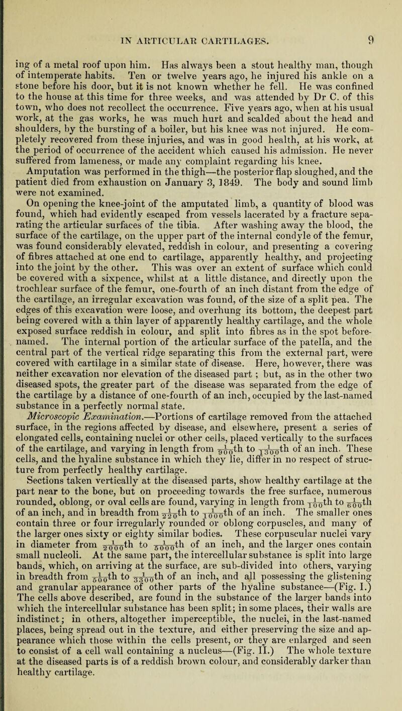 ing of a metal roof upon him. Has always been a stout healthy man, though of intemperate habits. Ten or twelve years ago, he injured his ankle on a stone before his door, but it is not known whether he fell. He was confined to the house at this time for three weeks, and was attended by Dr C. of this town, who does not recollect the occurrence. Five years ago, when at his usual work, at the gas works, he was much hurt and scalded about the head and shoulders, by the bursting of a boiler, but his knee was not injured. He com¬ pletely recovered from these injuries, and was in good health, at his work, at the period of occurrence of the accident which caused his admission. He never suffered from lameness, or made any complaint regarding his knee. Amputation was performed in the thigh—the posterior flap sloughed, and the patient died from exhaustion on January 3, 1849. The body and sound limb were not examined. On opening the knee-joint of the amputated limb, a quantity of blood was found, which had evidently escaped from vessels lacerated by a fracture sepa¬ rating the articular surfaces of the tibia. After washing away the blood, the surface of the cartilage, on the upper part of the internal condyle of the femur, was found considerably elevated, reddish in colour, and presenting a covering of fibres attached at one end to cartilage, apparently healthy, and projecting into the joint by the other. This was over an extent of surface which could be covered with a sixpence, whilst at a little distance, and directly upon the trochlear surface of the femur, one-fourth of an inch distant from the edge of the cartilage, an irregular excavation was found, of the size of a split pea. The edges of this excavation were loose, and overhung its bottom, the deepest part being covered with a thin layer of apparently healthy cartilage, and the whole exposed surface reddish in colour, and split into fibres as in the spot before- named. The internal portion of the articular surface of the patella, and the central part of the vertical ridge separating this from the external part, were covered with cartilage in a similar state of disease. Here, however, there was neither excavation nor elevation of the diseased part ; but, as in the other two diseased spots, the greater part of the disease was separated from the edge of the cartilage by a distance of one-fourth of an inch, occupied by the last-named substance in a perfectly normal state. Microscopic Examination.—Portions of cartilage removed from the attached surface, in the regions affected by disease, and elsewhere, present a series of elongated cells, containing nuclei or other cells, placed vertically to the surfaces of the cartilage, and varying in length from -gjjoth to y^yoth of an inch. These cells, and the hyaline substance in which they lie, differ in no respect of struc¬ ture from perfectly healthy cartilage. Sections taken vertically at the diseased parts, show healthy cartilage at the part near to the bone, but on proceeding towards the free surface, numerous rounded, oblong, or oval cells are found, varying in length from T^th to g^yth of an inch, and in breadth from ^gth to joVoth °f an inch. The smaller ones contain three or four irregularly rounded or oblong corpuscles, and many of the larger ones sixty or eighty similar bodies. These corpuscular nuclei vary in diameter from 2Woth to 5 0*0 0th of an inch, and the larger ones contain small nucleoli. At the same part, the intercellular substance is split into large bands, which, on arriving at the surface, are sub-divided into others, varying in breadth from ^yth to gg^th of an inch, and all possessing the glistening and granular appearance of other parts of the hyaline substance—(Fig. I.) The cells above described, are found in the substance of the larger bands into which the intercellular substance has been split; in some places, their walls are indistinct; in others, altogether imperceptible, the nuclei, in the last-named places, being spread out in the texture, and either preserving the size and ap¬ pearance which those within the cells present, or they are enlarged and seen to consist of a cell wall containing a nucleus—(Fig. II.) The whole texture at the diseased parts is of a reddish brown colour, and considerably darker than healthy cartilage.