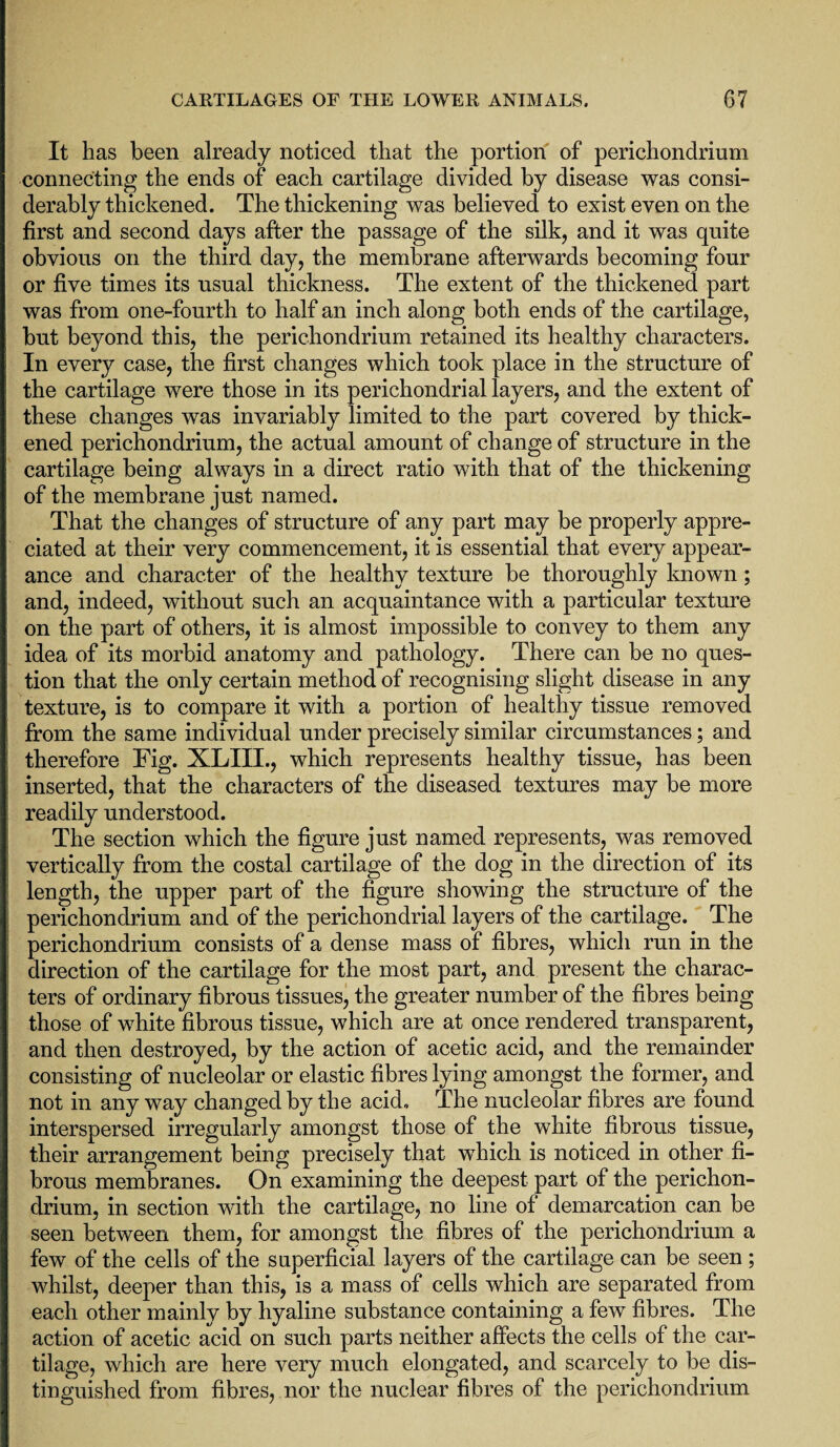 It has been already noticed that the portion of perichondrium connecting the ends of each cartilage divided by disease was consi¬ derably thickened. The thickening was believed to exist even on the first and second days after the passage of the silk, and it was quite obvious on the third day, the membrane afterwards becoming four or five times its usual thickness. The extent of the thickened part was from one-fourth to half an inch along both ends of the cartilage, but beyond this, the perichondrium retained its healthy characters. In every case, the first changes which took place in the structure of the cartilage were those in its perichondrial layers, and the extent of these changes was invariably limited to the part covered by thick¬ ened perichondrium, the actual amount of change of structure in the cartilage being always in a direct ratio with that of the thickening of the membrane just named. That the changes of structure of any part may be properly appre¬ ciated at their very commencement, it is essential that every appear¬ ance and character of the healthy texture be thoroughly known; and, indeed, without such an acquaintance with a particular texture on the part of others, it is almost impossible to convey to them any idea of its morbid anatomy and pathology. There can be no ques¬ tion that the only certain method of recognising slight disease in any texture, is to compare it with a portion of healthy tissue removed from the same individual under precisely similar circumstances; and therefore Fig. XLIII., which represents healthy tissue, has been inserted, that the characters of the diseased textures may be more readily understood. The section which the figure just named represents, was removed vertically from the costal cartilage of the dog in the direction of its length, the upper part of the figure showing the structure of the perichondrium and of the perichondrial layers of the cartilage. The perichondrium consists of a dense mass of fibres, which run in the direction of the cartilage for the most part, and present the charac¬ ters of ordinary fibrous tissues, the greater number of the fibres being those of white fibrous tissue, which are at once rendered transparent, and then destroyed, by the action of acetic acid, and the remainder consisting of nucleolar or elastic fibres lying amongst the former, and not in any way changed by the acid. The nucleolar fibres are found interspersed irregularly amongst those of the white fibrous tissue, their arrangement being precisely that which is noticed in other fi¬ brous membranes. On examining the deepest part of the perichon¬ drium, in section with the cartilage, no line of demarcation can be seen between them, for amongst the fibres of the perichondrium a few of the cells of the superficial layers of the cartilage can be seen ; whilst, deeper than this, is a mass of cells which are separated from each other mainly by hyaline substance containing a few fibres. The action of acetic acid on such parts neither affects the cells of the car¬ tilage, which are here very much elongated, and scarcely to be dis¬ tinguished from fibres, nor the nuclear fibres of the perichondrium