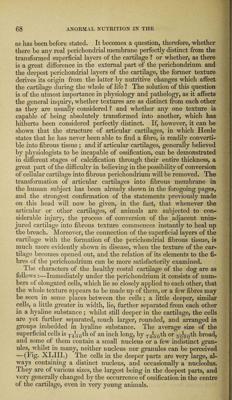 as has been before stated. It becomes a question, therefore, whether there be any real perichondrial membrane perfectly distinct from the transformed superficial layers of the cartilage ? or whether, as there is a great difference in the external part of the perichondrium and the deepest perichondrial layers of the cartilage, the former texture derives its origin from the latter by nutritive changes which affect the cartilage during the whole of life ? The solution of this question is of the utmost importance in physiology and pathology, as it affects the general inquiry, whether textures are as distinct from each other as they are usually considered ? and whether any one texture is capable of being absolutely transformed into another, which has hitherto been considered perfectly distinct. If, however, it can be shown that the structure of articular cartilages, in which Henle states that he has never been able to find a fibre, is readily converti¬ ble into fibrous tissue ; and if articular cartilages, generally believed by physiologists to be incapable of ossification, can be demonstrated in different stages of calcification through their entire thickness, a great part of the difficulty in believing in the possibility of conversion of cellular cartilage into fibrous perichondrium will be removed. The transformation of articular cartilages into fibrous membrane in the human subject has been already shown in the foregoing pages, and the strongest confirmation of the statements previously made on this head will now be given, in the fact, that whenever the articular or other cartilages, of animals are subjected to con¬ siderable injury, the process of conversion of the adjacent unin¬ jured cartilage into fibrous texture commences instantly to heal up the breach. Moreover, the connection of the superficial layers of the cartilage with the formation of the perichondrial fibrous tissue, is much more evidently shown in disease, when the texture of the car¬ tilage becomes opened out, and the relation of its elements to the fi¬ bres of the perichondrium can be more satisfactorily examined. The characters of the healthy costal cartilage of the dog are as follows :—Immediately under the perichondrium it consists of num¬ bers of elongated cells, which lie so closely applied to each other, that the whole texture appears to be made up of them, or a few fibres may be seen in some places between the cells; a little deeper, similar cells, a little greater in width, lie, further separated from each other in a hyaline substance; whilst still deeper in the cartilage, the cells are yet further separated, much larger, rounded, and arranged in groups imbedded in hyaline substance. The average size of the superficial cells is j^^th of an inch long, by y^^th or ^^th broad, and some of them contain a small nucleus or a few indistinct gran¬ ules, whilst in many, neither nucleus nor granules can be perceived — (Fig- XLIII.) The cells in the deeper parts are very large, al¬ ways containing a distinct nucleus, and occasionally a nucleolus. They are of various sizes, the largest being in the deepest parts, and very generally changed by the occurrence of ossification in the centre of the cartilage, even in very young animals.