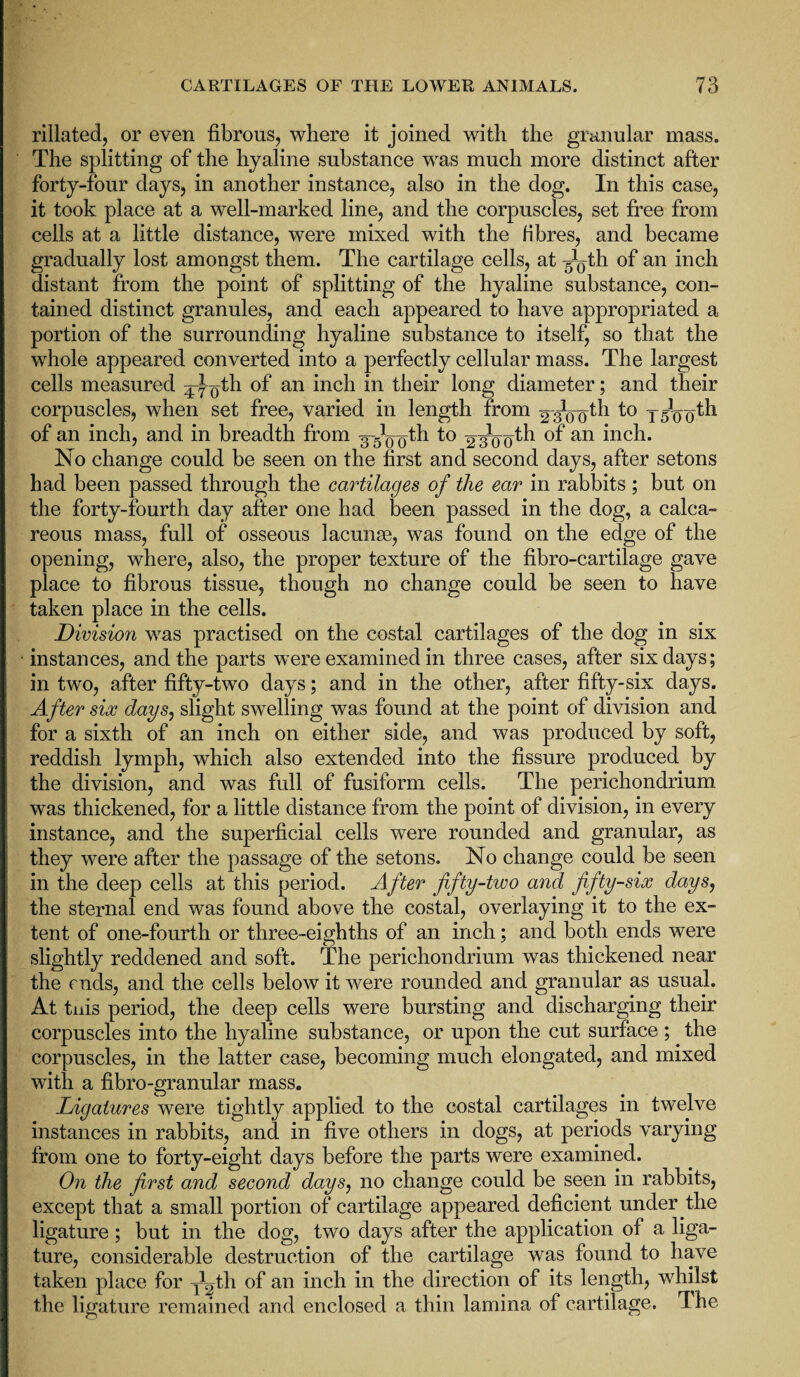rillated, or even fibrous, where it joined with the granular mass. The splitting of the hyaline substance was much more distinct after forty-four days, in another instance, also in the dog. In this case, it took place at a well-marked line, and the corpuscles, set free from cells at a little distance, were mixed with the fibres, and became gradually lost amongst them. The cartilage cells, at ^th of an inch distant from the point of splitting of the hyaline substance, con¬ tained distinct granules, and each appeared to have appropriated a portion of the surrounding hyaline substance to itself, so that the whole appeared converted into a perfectly cellular mass. The largest cells measured ^^th an hich *n their l°ng diameter; and their corpuscles, when set free, varied in length from 23o~oth to 4544^ of an inch, and in breadth from 3-^^th to an inch. No change could be seen on the first and second days, after setons had been passed through the cartilages of the ear in rabbits ; but on the forty-fourth day after one had been passed in the dog, a calca¬ reous mass, full of osseous lacunse, was found on the edge of the opening, where, also, the proper texture of the fibro-cartilage gave place to fibrous tissue, though no change could be seen to have taken place in the cells. Division was practised on the costal cartilages of the dog in six instances, and the parts were examined in three cases, after six days; in two, after fifty-two days; and in the other, after fifty-six days. After six days, slight swelling was found at the point of division and for a sixth of an inch on either side, and was produced by soft, reddish lymph, which also extended into the fissure produced by the division, and was full of fusiform cells. The perichondrium was thickened, for a little distance from the point of division, in every instance, and the superficial cells were rounded and granular, as they were after the passage of the setons. No change could be seen in the deep cells at this period. After fifty-two and fifty-six days, the sternal end was found above the costal, overlaying it to the ex¬ tent of one-fourth or three-eighths of an inch; and both ends were slightly reddened and soft. The perichondrium was thickened near the ends, and the cells below it were rounded and granular as usual. At tnis period, the deep cells were bursting and discharging their corpuscles into the hyaline substance, or upon the cut surface ; the corpuscles, in the latter case, becoming much elongated, and mixed with a fibro-granular mass. Ligatures were tightly applied to the costal cartilages in twelve instances in rabbits, and in five others in dogs, at periods varying from one to forty-eight days before the parts were examined. On the first and second days, no change could be seen in rabbits, except that a small portion of cartilage appeared deficient under the ligature; but in the dog, two days after the application of a liga¬ ture, considerable destruction of the cartilage was found to have taken place for ybjth of an inch in the direction of its length, whilst the ligature remained and enclosed a thin lamina of cartilage. The