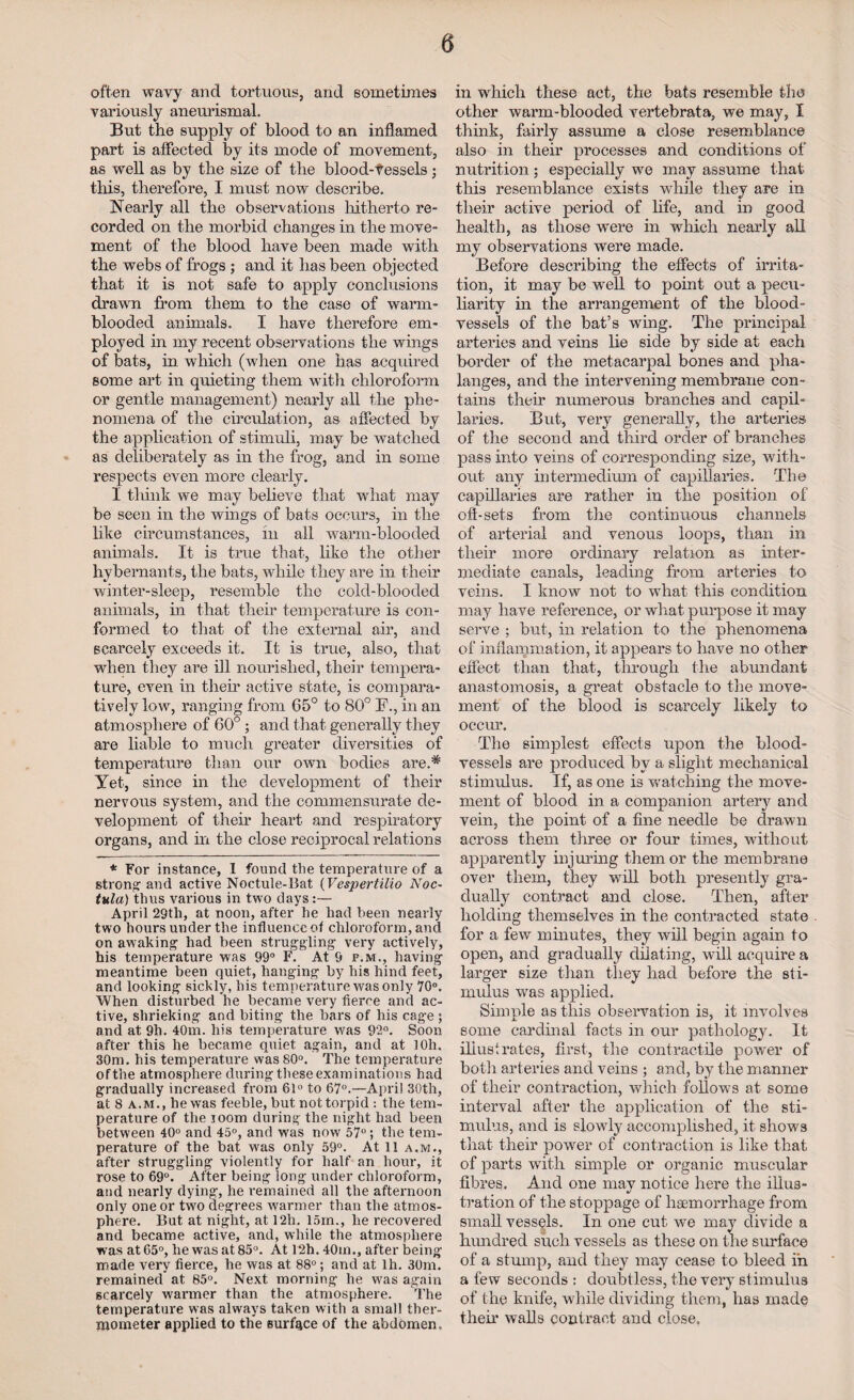 often wavy and tortuous, and sometimes variously aneurismal. But the supply of blood to an inflamed part is affected by its mode of movement, as well as by the size of the blood-tessels • this, therefore, I must now describe. Nearly all the observations hitherto re¬ corded on the morbid changes in the move¬ ment of the blood have been made with the webs of frogs ; and it has been objected that it is not safe to apply conclusions drawn from them to the case of warm¬ blooded animals. I have therefore em¬ ployed in my recent observations the wings of bats, in which (when one has acquired some art in quieting them with chloroform or gentle management) nearly all the phe¬ nomena of the circulation, as affected by the application of stimuli, may be watched as deliberately as in the frog, and in some respects even more clearly. I think we may believe that what may be seen in the wings of bats occurs, in the like circumstances, in all warm-blooded animals. It is true that, like the other hybernants, the bats, while they are in their winter-sleep, resemble the cold-blooded animals, in that their temperature is con¬ formed to that of the external air, and scarcely exceeds it. It is true, also, that when they are ill nourished, their tempera¬ ture, even in their active state, is compara¬ tively low, ranging from 65° to 80° F., in an atmosphere of 60° ; and that generally they are liable to much greater diversities of temperature than our own bodies are.* Yet, since in the development of their nervous system, and the commensurate de¬ velopment of their heart and respiratory organs, and in the close reciprocal relations * For instance, I found the temperature of a strong and active Noctule-Bat (Vespertilio Noc- tula) thus various in two days April 29th, at noon, after he had been nearly two hours under the influence of chloroform, and on awaking had been struggling very actively, his temperature was 99° F. At 9 p.m., having meantime been quiet, hanging by his hind feet, and looking sickly, his temperature was only 70°. When disturbed he became very fierce and ac¬ tive, shrieking and biting the bars of his cage ; and at 9li. 40m. his temperature was 92°. Soon after this he became quiet again, and at 10h. 30m. his temperature was 80°. The temperature ofthe atmosphere during these examinations had gradually increased from 61° to 67°.—April 30th, at 8 a.m., hewas feeble, but nottorpid : the tem¬ perature of the ioom during the night had been between 40° and 45°, and was now 57°; the tem¬ perature of the bat was only 59°. At 11 a.m., after struggling violently for half an hour, it rose to 69°. After being long under chloroform, and nearly dying, he remained all the afternoon only one or two degrees warmer than the atmos¬ phere. But at night, at I2h. 15m., he recovered and became active, and, while the atmosphere was at 65°, he was at 85°. At 12h. 40m., after being made very fierce, he was at 88°; and at lh. 30m. remained at 85°. Next morning he was again scarcely warmer than the atmosphere. The temperature was always taken with a small ther¬ mometer applied to the surface of the abdomen. in which these act, the bats resemble the other warm-blooded vertebrata, we may, I think, fairly assume a close resemblance also in their processes and conditions of nutrition ; especially wre may assume that this resemblance exists while they are in their active period of life, and in good health, as those were in which nearly all my observations were made. Before describing the effects of irrita¬ tion, it may be wrell to point out a pecu¬ liarity in the arrangement of the blood¬ vessels of the bat’s wing. The principal arteries and veins lie side by side at each border of the metacarpal bones and pha¬ langes, and the intervening membrane con¬ tains their numerous branches and capil¬ laries. But, very generally, the arteries of the second and third order of branches pass into veins of corresponding size, with¬ out any intermedium of capillaries. The capillaries are rather in the position of oft-sets from the continuous channels of arterial and venous loops, than in their more ordinary relation as inter¬ mediate canals, leading from arteries to veins. I know not to what this condition may have reference, or what purpose it may serve ; but, in relation to the phenomena of inflammation, it appears to have no other effect than that, through the abundant anastomosis, a great obstacle to the move¬ ment of the blood is scarcely likely to occur. The simplest effects upon the blood¬ vessels are produced by a slight mechanical stimulus. If, as one is watching the move¬ ment of blood in a companion artery and vein, the point of a fine needle be drawn across them three or four times, without apparently injuring them or the membrane over them, they will both presently gra¬ dually contract and close. Then, after holding themselves in the contracted state for a few minutes, they will begin again to open, and gradually dilating, will acquire a larger size than they had before the sti¬ mulus wras applied. Siinnle as this observation is, it involves some cardinal facts in our pathology. It illustrates, first, the contractile power of both arteries and veins ; and, by the manner of their contraction, which follows at some interval after the application of the sti¬ mulus, and is slowly accomplished, it shows that their power of contraction is like that of parts with simple or organic muscular fibres. And one may notice here the illus¬ tration of the stoppage of haemorrhage from small vessels. In one cut we may divide a hundred such vessels as these on the surface of a stump, and they may cease to bleed in a few seconds : doubtless, the very stimulus of the knife, while dividing them, has made their walls contract and close.