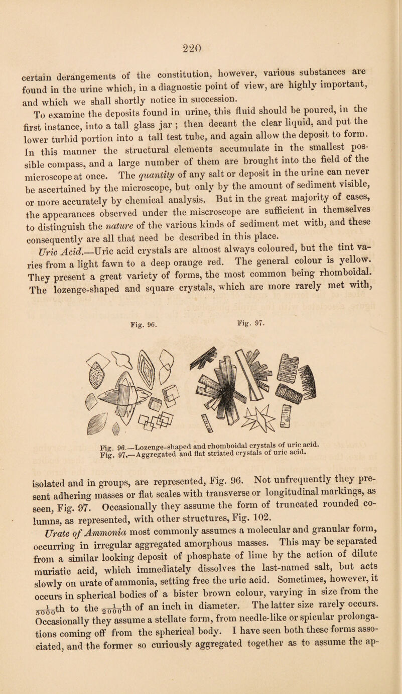 certain derangements of the constitution, however, various substances are found in the urine which, in a diagnostic point of view, are highly important, and which we shall shortly notice in succession. To examine the deposits found in urine, this fluid should be poured, in the first instance, into a tall glass jar ; then decant the clear liquid, and put the lower turbid portion into a tall test tube, and again allow the deposit to form. In this manner the structural elements accumulate in the smallest pos¬ sible compass, and a large number of them are brought into the field of the microscope at once. The quantity of any salt or deposit in the urine can never be ascertained by the microscope, but only by the amount of sediment visible, or more accurately by chemical analysis. But in the great majority of cases, the appearances observed under the miscroscope are sufficient in themselves to distinguish the nature of the various kinds of sediment met with, and these consequently are all that need be described in this place. Uric Acid.—Uric acid crystals are almost always coloured, but the tint va¬ ries from a light fawn to a deep orange red. The general colour is yellow. They present a great variety of forms, the most common being rhomboidal. The lozenge-shaped and square crystals, which are more rarely met with, Fig. 96. Fig- 97. Pig 96_Lozenge-shaped and rhomboidal crystals of uric acid. pig, 97— Aggregated and flat striated crystals of uric acid. isolated and in groups, are represented, Fig. 96. Not unfrequently they pre¬ sent adhering masses or flat scales with transverse or longitudinal markings, as seen, Fig. 97. Occasionally they assume the form of truncated rounded co¬ lumns, as represented, with other structures, Fig. 102. Urate of Ammonia most commonly assumes a molecular and granular form, occurring in irregular aggregated amorphous masses. This may be separated from a similar looking deposit of phosphate of lime by the action of dilute muriatic acid, which immediately dissolves the last-named salt, but acts slowly on urate of ammonia, setting free the uric acid. Sometimes, however, it occurs in spherical bodies of a bister brown colour, varying in size from the i.oth to the 2 odoth of an inch in diameter. The latter size rarely occurs. Occasionally they assume a stellate form, from needle-like or spicular prolonga¬ tions coming off from the spherical body. I have seen both these forms asso¬ ciated, and the former so curiously aggregated together as to assume the ap-