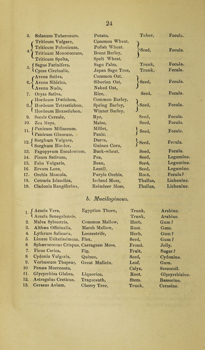 3. Solanum Tuberosum, Potato, Tuber, Fecula. r Triticum Yulgare, Common Wheat, J ) Triticum Polonicum, Polish Wheat, >Seed, Fecula. ) Triticum Monococcum, Brent Barley, Triticum Spelta, Spelt Wheat, / 5. f Sagus Farinifera, Sago Palm, Trunk, Fecula. i Cycas Circinalis, Japan Sago Tree, Trunk, Fecula. rAvena Sativa, Common Oat, 6.- < Avena Sibirica, Siberian Oat, VSeed, Fecula. Avena Nuda, Naked Oat, J 7. Oryza Sativa, Rice, . Seed, Fecula. r Hordeum Distichon, Common Barley, 8.J Hordeum Tetrastichon, Spring Barley, >Seed, Fecula. 1 1 Hordeum Hexastichon, Winter Barleyr, J 9. Secale Cereale, Rye, Seed, Fecula. 10. Zea Mays, Maize, Seed, Fecula. 11. | Panicum Miliaceum, Millet, | Seed, Fecula. tPanicum Glaucum, Panic, 12. < f Sorghum Yulgare, Durra, j-Seed, Fecula. t Sorghum Bicolor, Guinea Corn, 13. Fagopyrum Esculentum, Buck-wheat, Seed, Fecula. 14. Pisum Sativum, Pea, Seed, Legumine. 15. Faba Yulgaris, Bean, Seed, Legumine. 16. Ervum Lens, Lentil, Seed, Legumine. 17. Orchis Mascula, Purple Orchis, Root, Fecula ? 18. Cetraria Islandica, Iceland Moss, Thallus, Lichenine. 19. Cladonia Bangiferina, Reindeer Moss, Thallus, Licbenine. b. Mucilaginous. l.-j f Acacia Vera, Egyptian Thorn, Trunk, Arabine. i. Acacia Senegalensis, Trunk, Arabine. 2. Malva Sylvestris, Common Mallow, Herb, Gum? 3. Althaea Officinalis, Marsh Mallow, Root, Gum. 4. Lythrum Salicaria, Loosestrife, Herb, Gum ? 5. Linum Usitatissimum, Flax. Seed, Gum ? 6 Sphasrococcus Crispus, Carrageen Moss, Frond, Jelly. 7. Ficus Carica, Fig, Fruit, Sugar ? 8 Cydonia Vulgaris, Quince, Seed, Cydonine. 9. Verbascum Thapsus, Great Mullein, Leaf, Gum. 10 Penaea Mucronata, Calyx, Sarcocoll. 11. Glycyrrhiza Glabra, Liquorice, Root, Glycyrrhizine. 12. Astragalus Creticus, Trag acanth, Stem, Bassorine. 13. Cerasus Avium, Cherry Tree, Trunk, Cerasine.