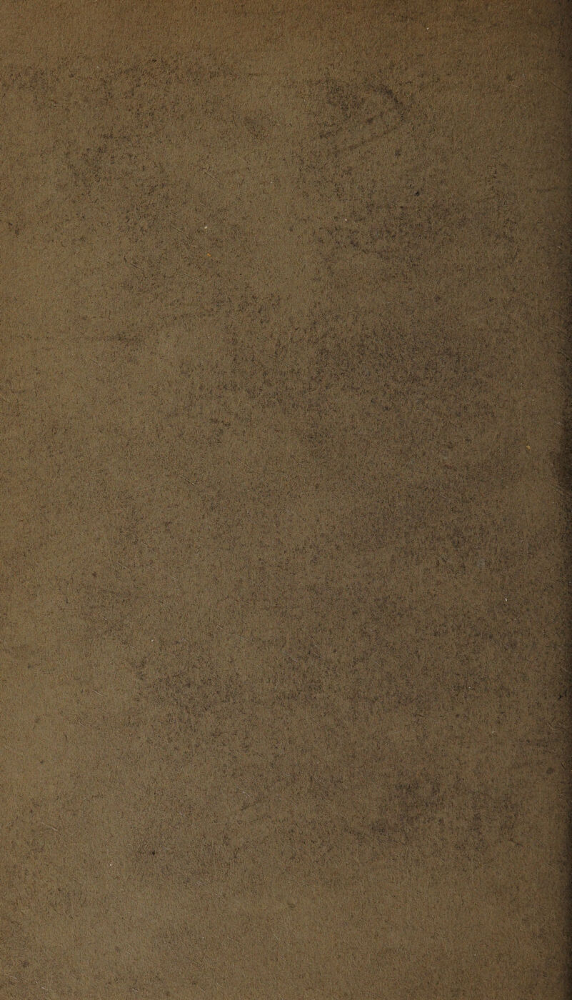 iHomw i» rt. <..•»«£; ï- Æ A-fj/ui.%' ;'-/Æ ' '•. j--; * ,y \ ■ -.• ” - ;v*rî ■ ■■^■■''-tilfïSw-Z;;. :-->•■•- . ; j.' ./- : •-■*•’A : SiiMSi , • *>, 'V ; t . ; : X\ •;,,ÿ ; ■'■ . A .I *.! • • i »•; . »y .-..A, **•« H y y.,. ■; yyyyv*y.y. ;<#& • • *•>'■. -iV ■■■ feca ’4<f'•••'-' ■ ;<K*Ï .. '.iW MU '-Ay<y.AA » ...A A> I■■■ ; ■ U;--- ;V ! • ^YyYY-y; trxik~:fÆ êtey-fS^ y-yy..i'y; ; ,:'ÿ. y ....... 7 . . |v s. Y? ■: æ■: Y^ :4kî /' 'V..*jfâÿlfÆ?*gà* • . • - À A • . .• ./•• .<*■'.{. Y:’ • -A' .' \ .;v v •;.»,■ .,, -;A v y-AY y.yy.y.^ ‘ ■ '  -. •' A ■ Ai* *' '; «SI : , ■, - • ■ ■ ••'■• ' ■••'' y.--AV Ar Y' .■'■ ■.■ V 7 ' lHUli.'Mi < 7A ' . 77 .'Y'YY' ■ ■ Wa-Æ-. . i-.‘u'-H'.v.hï :/■ ..v. /«• î^r- ; i’, V .1 ‘ '• V • ' •vâiAa ■ r ■■ & ■ ■ t : ' y ay-'- •• .. ÆH? »?■, *. ? \ -Vy YYA : ■ ■; :..= ■ : ;SÏ V;ff ■ V :Vv:ÿ :i' '' ■ y';§y;:yy|:^y.:yy -y-, ' '• • f Y'' '.V :.■ .» /V.*V '*«> . >• ' .-. '-. , felï|ï#;; V , *.•: V'U; • •v r.; y - . My., . .••;.......... -.- ■ ■ • /: ■'. . y ■ . .... :■, ; :■ . ■ y. r*hi.. vaV r/-.•• ;V1 .Jg \: ~:S *• /V ??'^5y t*j ^ :•:• hlfctfr ■' ,s£?3 - ■- ’y'Y ■ Y ■.■■•.•■'i • -v . ^ -yfi- Y y -yyy . .>. '■•' ,r *  y. Vy.;.;”..•> .• •-■ , ■■*-' .■feAvorstf.».-- . y-^ - ... ?.';;■•.■• ■■■ ■ .'• ?•!,'>*’ UirrWif.’, 1 A. •ÿ V‘-/'>'C' .. r;:-^ : •■• V»-ÿA^-.: ,;i' v*; • #-,,»{ V. »•'./* • ; '.-liv/-' i-' 1fery •?;fV; I i j i ^ ;î':v“ ■.. v;* W • • •• : >V ■n U* ' ''„T . ^ \ . f ’^^;VVV '-'•‘Y | ; ’«> I' ■ ,..j■ -'■,J: -..-v - -.>,, y..-, - - • »■■; - •:•,!•. V» ■ • ■ ' ' . • . -i *-• ' ■: •• ■' | -4 ' ;’’T' •.•■■■' Y'- ■ ‘.f \ î<; v ' wM ï'«’W .. ;• T-'IV *sï>.' ■:' ■/ ■ - — ■: • 'v,Yy;- pîy y-:ts *-Y. 'Y.v;p #£■ -'•>y Yy.yc. fl: {./'-V y.': '-.w :’v r y,u- -rr.,:' i' >’ -. ,'• • •■»•»'.• ; v 'V.V .'.wu f-Siv y Y •'yV. ' -:v :-. f •VV-.‘.••-«■: ; >,. v> ^y •■■■»;i .~-ï! ’ri-r'.-s-'/j «'•. ï'>. •'■ ■ .*'4 »' •■•..<«• c'-' >.,:-■ • 'x; ^ : y Sy.V,. --v-;■•... >/ . v, ;.;.' •1 c. ' '•7 •’ 'KX'. • . r.  -H.; •, ' ^ ,- * ,.v. ,-''y -J,. : ’ • ■ v>,y : ï‘h V * r ->ÿ:> ïM*\ y > ir.r>'1 : ^ ^ • ■•;> ■■ y »y, »y \c' ,.'Vv ' 'yf. ■f<iS .Yy'iî’'*  •»'''^'v. ,>•-.**,Sî/,y ïifS.: '■ • .— ■■•.• r '..yv»v'. ''r- •'•' •'• ■• ' ' ' '.'. j 'r-'-} * .'«'. v- 'iS* • •, vv‘S ' VA H'- ' ! •-' . ; - ', ■• •/ . •■••/. . • > A -, ■■' - : : V. :-Y ' H •;• . ■ - . • -.AfeA-jé/v&■. :■■■■ r : -t ' y>r B ^ **-■ iI . ..VA' -'-Y ' '■'.* ' s- •••• • -ct • A *«.£•. *■ ■y •'/SvàX%\* . .-o.K?, .a*.'.* y >;,vŸ|r'y^ . -ÿi; : » -A» V-* ^>.V^.f* ïy.VïÇ ,.'. *■•■■• l'. ,Y ,i ; fKvîÿip'*?^, ■î-:jtâ£ !':■■' vy... y; .y*'- *• r y,v: • ; • •• ., ,y.; y- ïyfevy. :. • ^ y ^ v ' • > -< ' Y- ^ ''Y- >Y i . /-Y M|y.S;YÀY;'y ■ . Y YY^§ . $ /; y ,Y-;Y:: • v^-w.^.>Yk;/>yYv *-YV; ••-• r - -... yYY':‘-?v' Y>|5 1 aYY>Y ylyy Y.,;.';'ësJ;-yY:;1 . .. 'Y- 'r'-SvY v 'YY* ■\ - -. - •';<R5f«.-*rai<.»B y-y;-.v >,yt.y ,-f r. ;•• vyvïif-.;: :.1 ;■: , ,■■ V''f:.■■' -'-... :Æ; à^; . p & MiY:YypYYYYs||3 A\‘ i-p •#'• ^ .,-yy ■mü 4%: ' îirf ; j Y4‘;7 y-î.y. M* « ï.. -, V-Vî, „, , -y-tA .-■ YV : • • s» --y^y'Yy;-:. n.Vv;•Jgg ^ . ' : ';'■■■■ - ■ vvYY;y:.:  YfYY xm L,ÿ-'y.A'-' lvy.. “i. Y. i ■’ ',.-:'v.Y; yyyy yy.y.-..,v'r7:a...; •.:yy: .æ, ( i'ât • fA. '-.ÿ-.-50- '•yy:yy.^-yy ■■ -àà y.,yy ,y.;-. ..y;>.'v.•■•• y.->. •-• %•?. -,• '.A' •> W • -V.V. ... ,-:• ..'■; .. - ■■,: :;■■«• •. •-•■• 7-: . A. >y. y y * .'TSÿTîîA/■' Yl; > -.i il v■' • u-' f yl ■ Vf wte? Y.?--- Y trY ^:-y ' ■ ,;^S,r-:-ï ; A; l'A-v5^'' ’r- A îS'.v..;-.-: - •'•• Y’#4 - y. A'iyA -..'77 ÿ^y- vt Y.' .•V^Y'UY /. f- . .■ V':.-. a i*,.. J - vi . as ;■•-.■ v ; T y i i* . • • *,ry?*’ . y » . • • • «;:y YYll'l4'y • •• . - - ■.•• k ' '•* ?#l». .♦*.'«# ’ • y ÿ 'Æct'l. a'.' . . ... , A.'YYy '•-âa:-'■• Y-f ■ '■'. •’Y Y », V-^>y- -• '••••y A -v ' »• 'A ' Y-Y Y - ' ■ - ..' . . . -7.7 ;vy.' .7 > #«Yy;.:AA:AYy -..Yyy- ; ‘ * •. il* ...' Ay>>.vAy y ■v 'ç.'.v ■ yy s- .-‘^ '•'7: ÿy.^;YYY ,7:7 sMi. . ; A-.;-' :'.7.7.-7r:■ -'. •• » -*V • •• • • - ' . vYv1' ' •.. ' A-.- .-•■'•• A Y»' ' • ■■;' ••' ...’* -.■••• • . : • Uv. :*fU •' '.* ''VYC' *> “*' HV.'Y- '• ' v ,.,v >Ya;Yv yY^'pA • • c-.-.c.» ■?-•':7-h-y ,• 1 „• » ■ - V -•■• .■ 5s ' •' 7. ... V* I Y.y .;••• -.'h .; *■}:■■ O ’J .'. 7 A' yy 7;i'. i|.A. 7yVv'7'i'rty ',* •; /.: ■ yyy- .y- ■' 7: A m^:y. •A- Y y - • Y Y- - ■y ■ Y< y y#y : y - s:.-v ?.: ~ 1