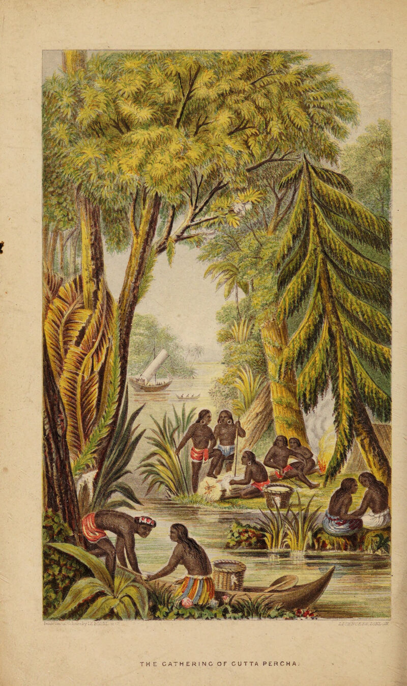 THE GATHERING OF GUTTA PEHCHA