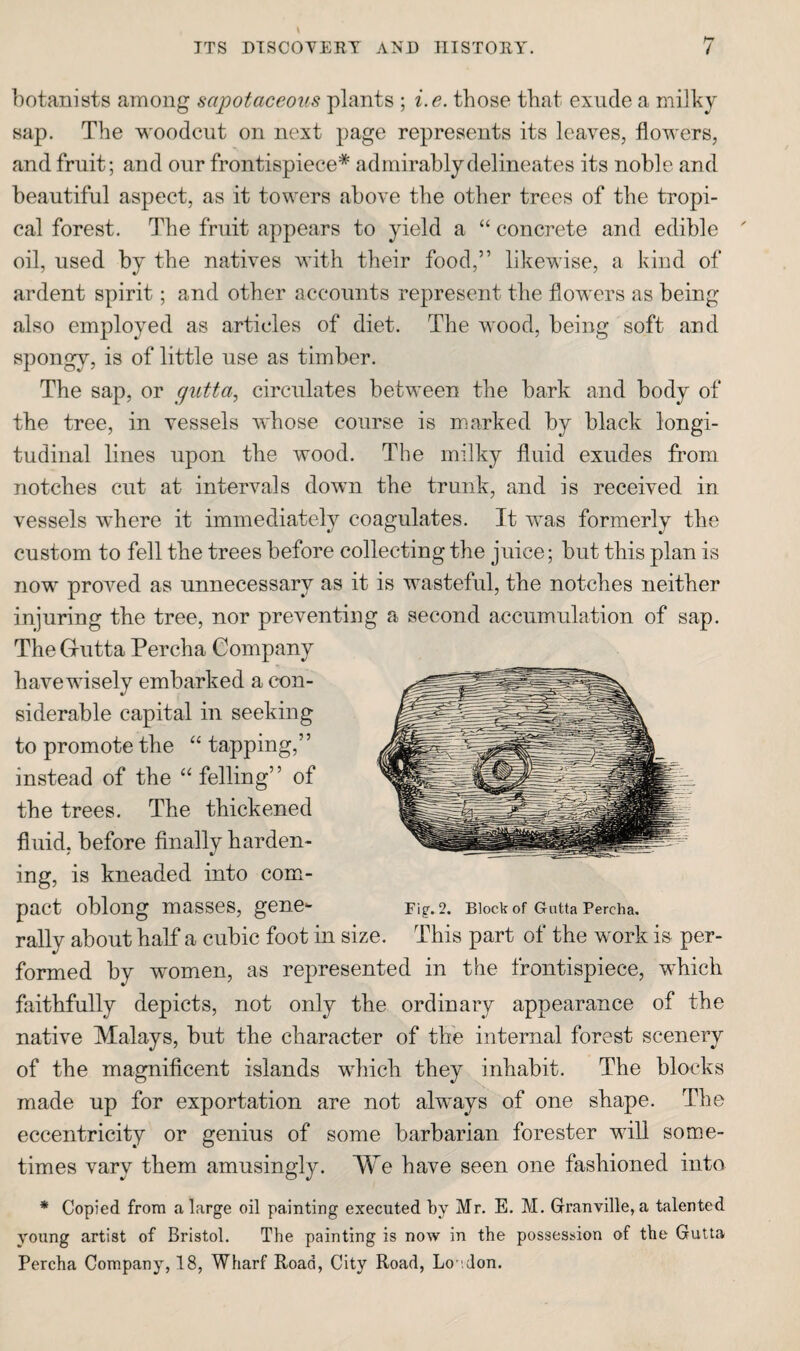 ITS DTSCOYERY AND IIISTOEY, botanists among sapotaceoiis plants ; i.e. those that exude a milky sap. The woodcut on next page represents its leaves, flowers, and fruit; and our frontispiece* admirably delineates its noble and beautiful aspect, as it towers above the other trees of the tropi¬ cal forest. The fruit appears to yield a “ concrete and edible oil, used by the natives with their food,” likewise, a kind of ardent spirit; and other accounts represent the flowers as being also employed as articles of diet. The wood, being soft and spongy, is of little use as timber. The sap, or giitta, circulates between the bark and body of the tree, in vessels whose course is marked by black longi¬ tudinal lines upon the wood. The milky fluid exudes from notches cut at intervals down the trunk, and is received in vessels where it immediately coagulates. It was formerly the custom to fell the trees before collecting the juice; but this plan is now proved as unnecessary as it is wasteful, the notches neither injuring the tree, nor preventing a second accumulation of sap. The Gutta Percha Company have wisely embarked a con¬ siderable capital in seeking to promote the “ tapping,” instead of the “ felling” of the trees. The thickened fluid, before finally harden¬ ing, is kneaded into com¬ pact oblong masses, gene- Fig. 2. Block of Gutta Percha. rally about half a cubic foot in size. This part of the work is per¬ formed by women, as represented in the frontispiece, which faithfully depicts, not only the ordinary appearance of the native Malays, but the character of the internal forest scenery of the magnificent islands which they inhabit. The blocks made up for exportation are not always of one shape. The eccentricity or genius of some barbarian forester wiU some¬ times vary them amusingly. We have seen one fashioned into * Copied from a large oil painting executed by Mr. E. M. Granville, a talented young artist of Bristol. The painting is now in the possession of the Gutta Percha Company, 18, Wharf Road, City Road, Lo'don.