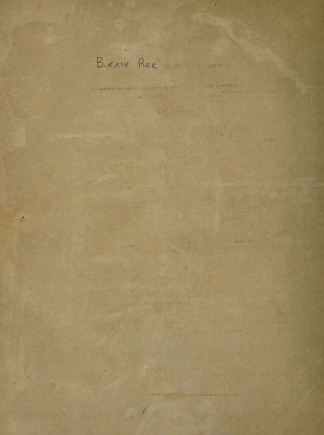 digitised image 2