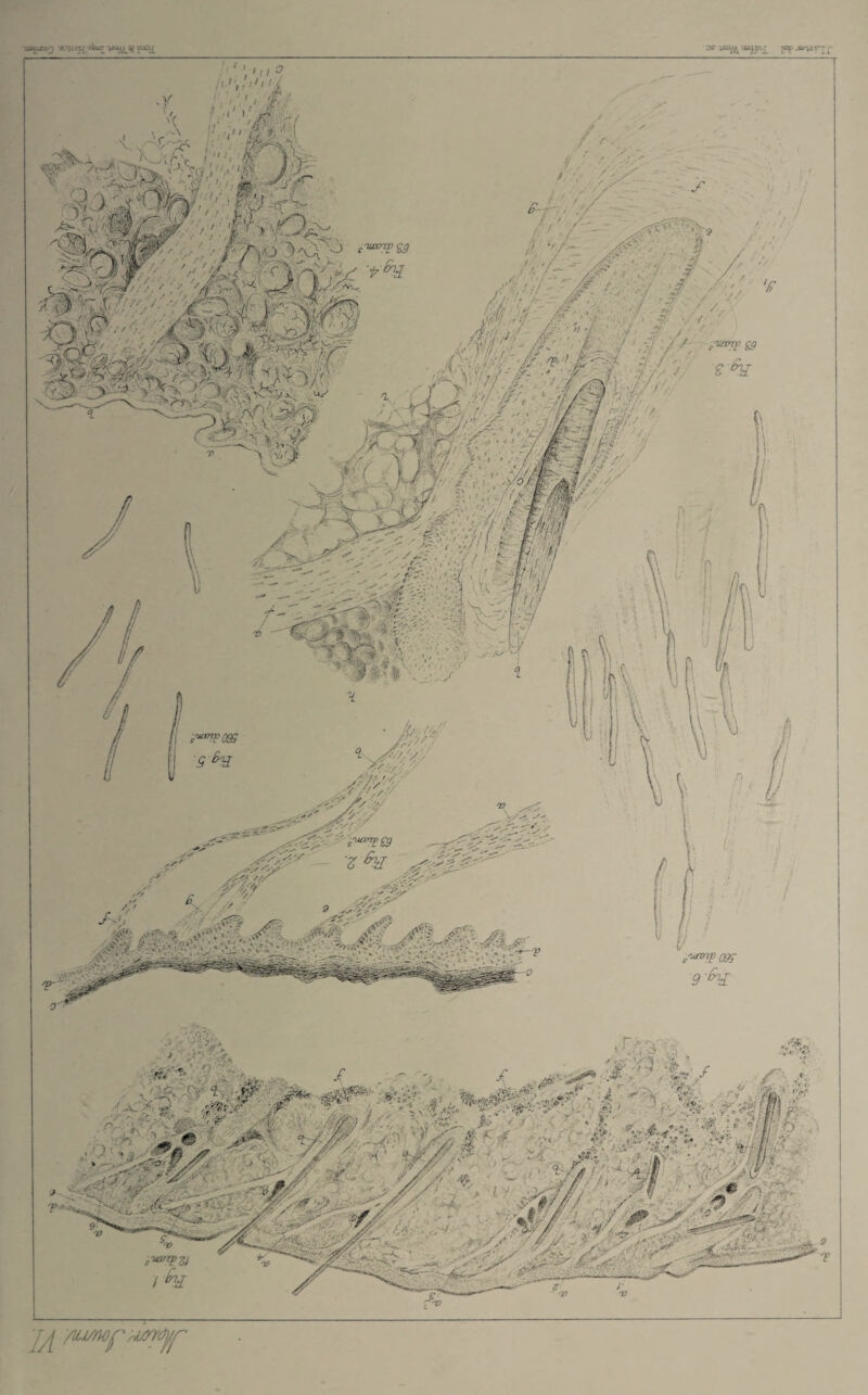 USpJt'3 thuT pJO^ Off isofa uajjn^ pp jer^s vr £■ yutorpoeg s % ■s'utm££g z % ■ . ,'unnp 09S 9'%