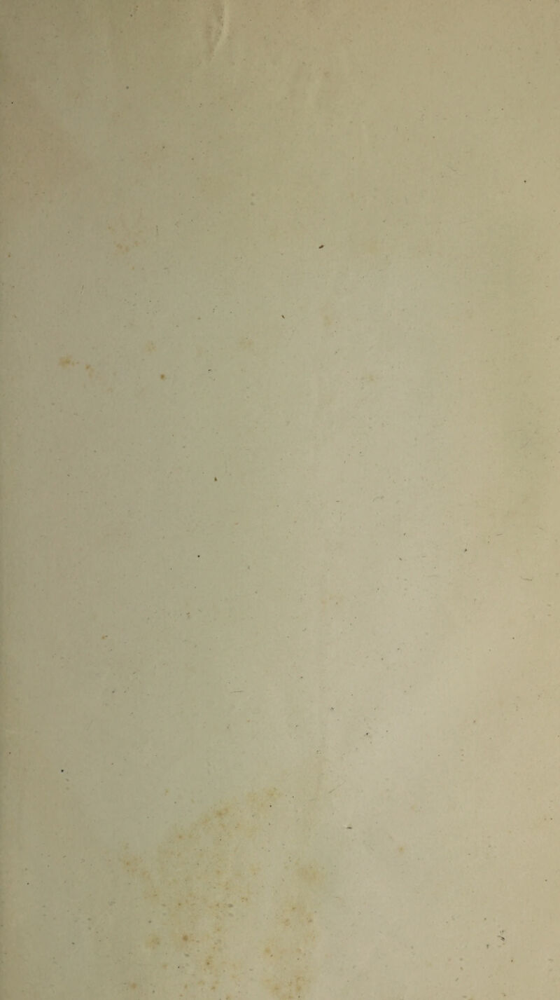 i I r t V .* •. : - » , / * * * *