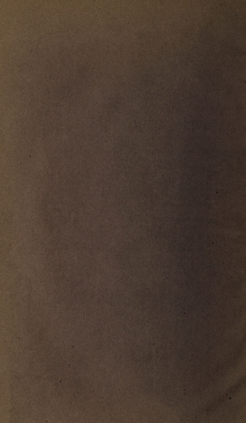 ,V ' \ \ . ' Vi v i w rj ■ . *ir p 4 4 ■* « / l i t ) 1ükt r' v’-V.C .. • ;• ¥£, • il ,.'/>■ v ' - «r