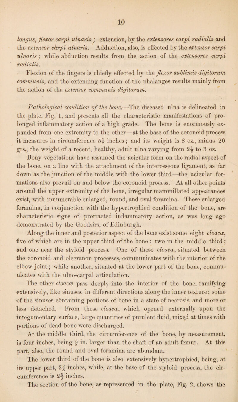 longus, flexor carpi ulnaris ; extension, by the ex tensores carpi radialis and the extensor carpi ulnaris. Adduction, also, is effected by the extensor carpi ulnaris; while abduction results from the action of the extensores carpi radialis. Flexion of the fingers is chiefly effected by the flexor sublimis digitorum communis, and the extending function of the phalanges results mainly from the action of the extensor communis digitorum. Pathological condition of the bone.—The diseased ulna is delineated in the plate, Fig. 1, and presents all the characteristic manifestations of pro¬ longed inflammatory action of a high grade. The bone is enormously ex¬ panded from one extremity to the other—at the base of the coronoid process it measures in circumference 5-^ inches; and its weight is 8 oz., minus 20 grs., the weight of a recent, healthy, adult ulna varying from 2|- to 3 oz. Bony vegetations have assumed the aeicular form on the radial aspect of the bone, on a line with the attachment of the interosseous ligament, as far down as the junction of the middle with the lower third—the aeicular for¬ mations also prevail on and below the coronoid process. At all other points around the upper extremity of the bone, irregular mammillated appearances exist, with innumerable enlarged, round, and oval foramina. These enlarged foramina, in conjunction with the hypertrophied condition of the bone, are characteristic signs of protracted inflammatory action, as was long ago demonstrated by the Goodsirs, of Edinburgh. Along the inner and posterior aspect of the bone exist some eight cloacce, five of which are in the upper third of the bone : two in the middle third; and one near the styloid process. One of these cloacce, situated between the coronoid and olecranon processes, communicates with the interior of the elbow joint; while another, situated at the lower part of the bone, commu¬ nicates with the ulno-carpal articulation. The other cloacce pass deeply into the interior of the bone, ramifying extensively, like sinuses, in different directions along the inner texlure; some of the sinuses containing portions of bone in a state of necrosis, and more or less detached. From these cloacce, which opened externally upon the integumentary surface, large quantities of purulent fluid, mixqd at times with portions of dead bone were discharged. At the middle third, the circumference of the bone, by measurement, is four inches, being f- in. larger than the shaft of an adult femur. At this part, also, the round and oval foramina are abundant. The lower third of the bone is also extensively hypertrophied, being, at its upper part, 3f inches, while, at the base of the styloid process, the cir¬ cumference is 2f inches. The section of the bone, as represented in the plate, Fig. 2, shows the
