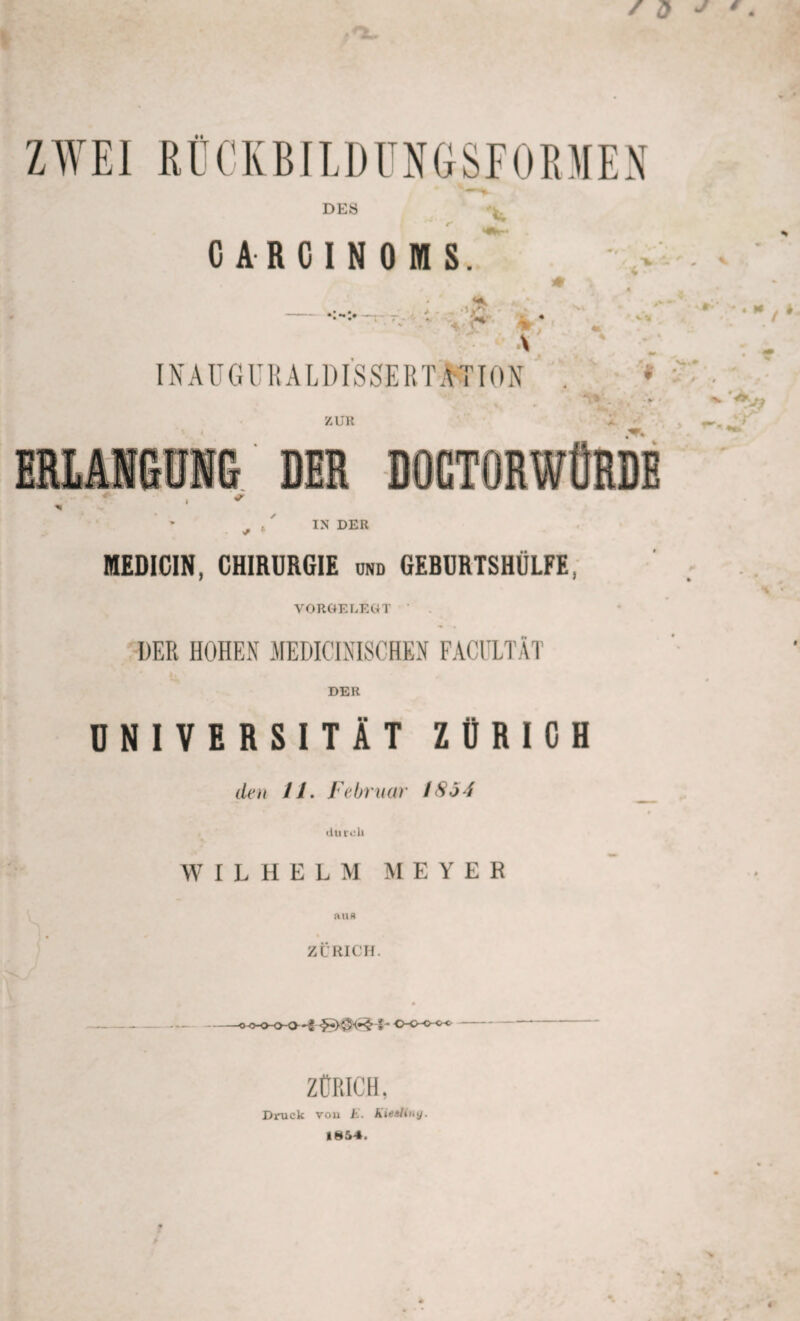 DES 0 A R C I N 0 M S. IN DER MEDICIN, CHIRURGIE ond GERURTSHÜLFE, VORGELEGT DER HOHEN MEDICINISCHEN FACULTÄT DER UNIVERSITÄT ZÜRICH den li. Februar 18öd durch WILHELM MEYER auf) ZÜRICH. OO-O-tr* ZÜRICH, Druck von i. Kiealiny. 1854.