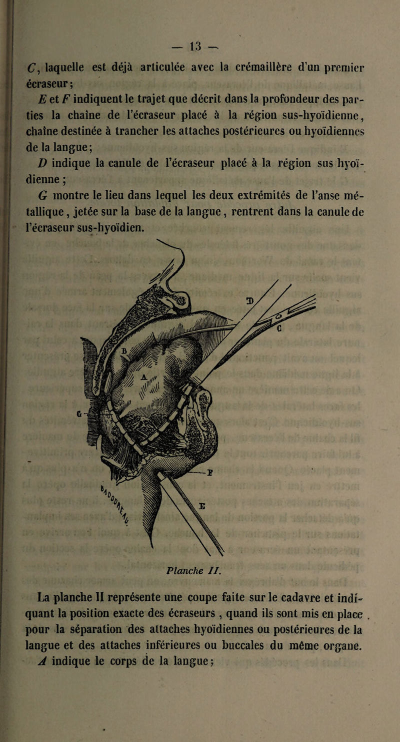 ! C, laquelle est déjà articulée avec la crémaillère d’un premier écraseur ; EetF indiquent le trajet que décrit dans la profondeur des par¬ ties la chaîne de l’écraseur placé à la région sus-hyoïdienne, chaîne destinée à trancher les attaches postérieures ou hyoïdiennes de la langue; D indique la canule de l’écraseur placé à la région sus hyoï¬ dienne ; G montre le lieu dans lequel les deux extrémités de l’anse mé¬ tallique , jetée sur la base de la langue, rentrent dans la canule de l’écraseur sus-hyoïdien. La planche II représente une coupe faite sur le cadavre et indi¬ quant la position exacte des écraseurs, quand ils sont mis en place . pour la séparation des attaches hyoïdiennes ou postérieures de la langue et des attaches inférieures ou buccales du même organe. A indique le corps de la langue;