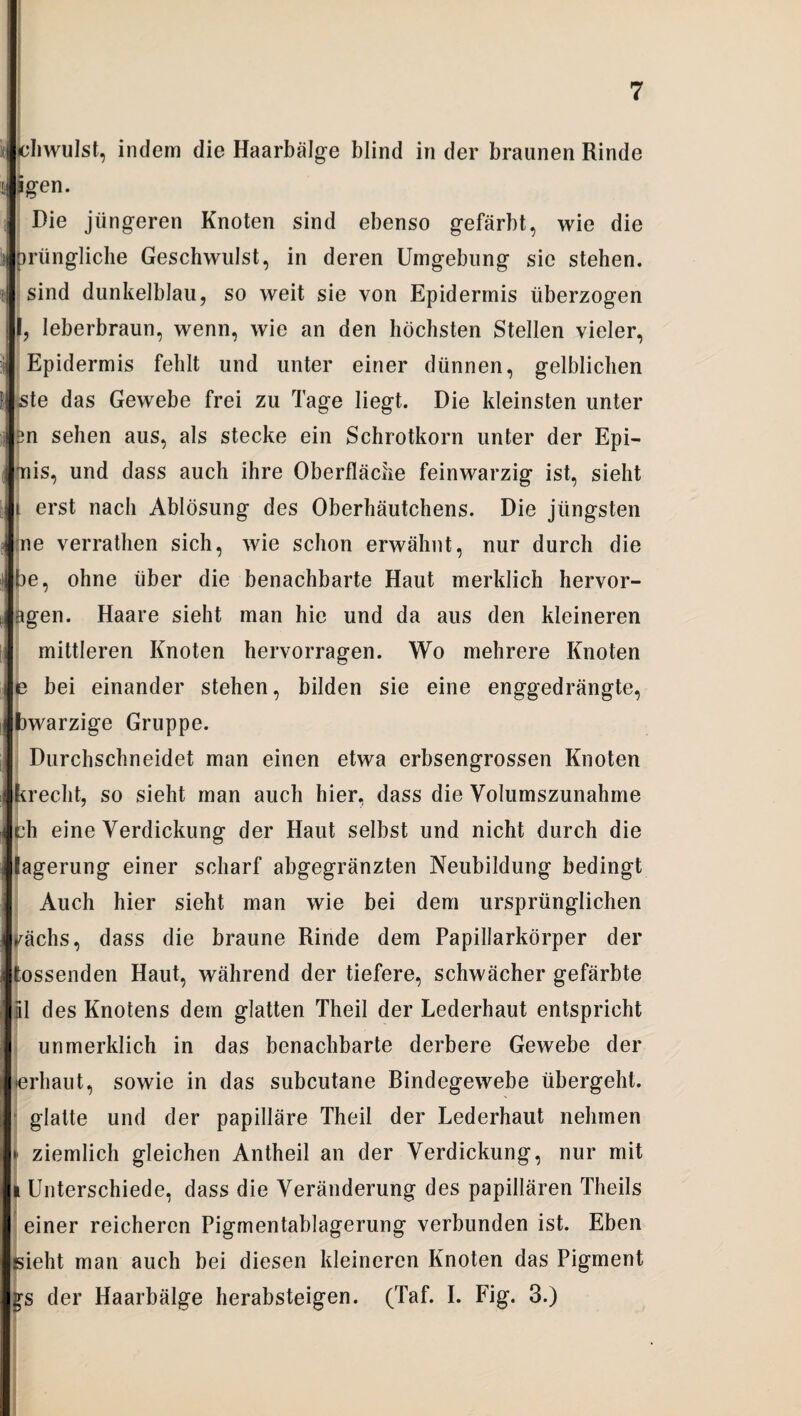 bhwulst, indem die Haarbälge blind in der braunen Rinde igen. Die jüngeren Knoten sind ebenso gefärbt, wie die pningliche Geschwulst, in deren Umgebung sie stehen, sind dunkelblau, so weit sie von Epidermis überzogen I, leberbraun, wenn, wie an den höchsten Stellen vieler, Epidermis fehlt und unter einer dünnen, gelblichen ,ste das Gewebe frei zu Tage liegt. Die kleinsten unter 3n sehen aus, als stecke ein Schrotkorn unter der Epi- iiis, und dass auch ihre Oberfläche feinwarzig ist, sieht i erst nach Ablösung des Oberhäutchens. Die jüngsten ne verrathen sich, wie schon erwähnt, nur durch die be, ohne über die benachbarte Haut merklich hervor- agen. Haare sieht man hie und da aus den kleineren mittleren Knoten hervorragen. Wo mehrere Knoten e bei einander stehen, bilden sie eine enggedrängte, bwarzige Gruppe. Durchschneidet man einen etwa erbsengrossen Knoten krecht, so sieht man auch hier, dass die Volumszunahme ch eine Verdickung der Haut selbst und nicht durch die Jagerung einer scharf abgegränzten Neubildung bedingt Auch hier sieht man wie bei dem ursprünglichen ^ächs, dass die braune Rinde dem Papillarkörper der tossenden Haut, während der tiefere, schwächer gefärbte ül des Knotens dem glatten Theil der Lederhaut entspricht ; unmerklich in das benachbarte derbere Gewebe der erhaut, sowie in das subcutane Bindegewebe übergeht. glatte und der papilläre Theil der Lederhaut nehmen > ziemlich gleichen Antheil an der Verdickung, nur mit l Unterschiede, dass die Veränderung des papillären Theils ; einer reicheren Pigmentablagerung verbunden ist. Eben «sieht man auch bei diesen kleineren Knoten das Pigment gs der Haarbälge herabsteigen. (Taf. I. Fig. 3.)