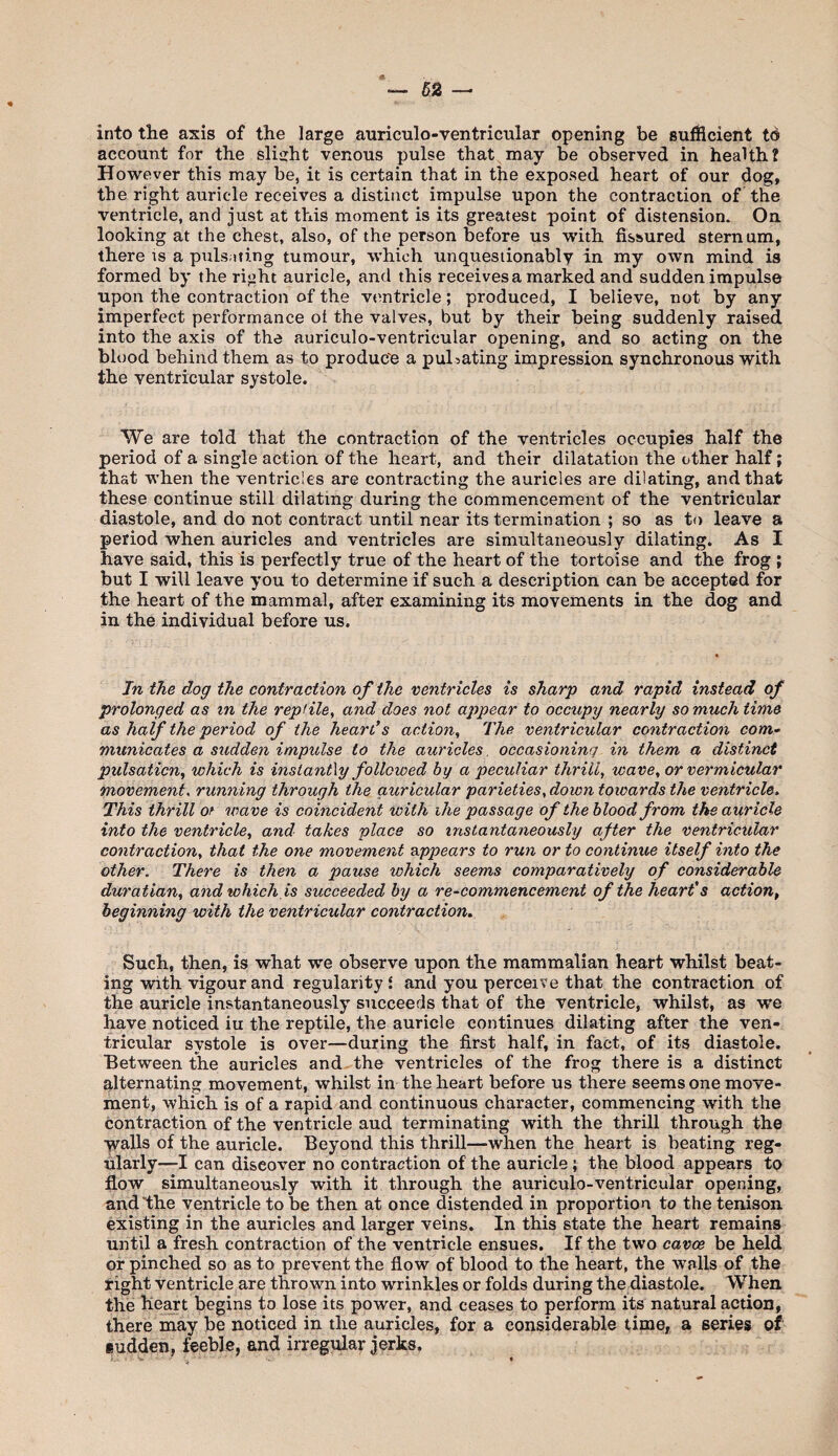 into the axis of the large auriculo-ventricular opening be sufficient to account for the slight venous pulse that may be observed in health? However this may be, it is certain that in the exposed heart of our dog, the right auricle receives a distinct impulse upon the contraction of the ventricle, and just at this moment is its greatest point of distension. On looking at the chest, also, of the person before us with fissured sternum, there is a pulsating tumour, which unquestionably in my own mind is formed by the right auricle, and this receives a marked and sudden impulse upon the contraction of the ventricle; produced, I believe, not by any imperfect performance oi the valves, but by their being suddenly raised into the axis of the auriculo-ventricular opening, and so acting on the blood behind them as to produc'e a pulsating impression synchronous with the ventricular systole. We are told that the contraction of the ventricles occupies half the period of a single action of the heart, and their dilatation the other half; that when the ventricles are contracting the auricles are dilating, and that these continue still dilating during the commencement of the ventricular diastole, and do not contract until near its termination ; so as to leave a period when auricles and ventricles are simultaneously dilating. As I have said, this is perfectly true of the heart of the tortoise and the frog ; but I will leave you to determine if such a description can be accepted for the heart of the mammal, after examining its movements in the dog and in the individual before us. Jn the dog the contraction of the ventricles is sharp and rapid instead of prolonged as tn the reptile, and does not appear to occupy nearly so much time as half the period of the hearts action. The ventricular contraction com» municates a sudden impulse to the auricles, occasioning in them a distinct pulsaticn, which is instantly followed by a peculiar thrill, wave, or vermicular movement, running through the auricular parieties, down towards the ventricle^ This thrill of wave is coincident with ihe passage of the blood from the auricle into the ventricle, and takes place so instantaneously after the ventricular contraction, that the one movement B.ppears to run or to continue itself into the other. There is then a pause which seems comparatively of considerable duratian, and which is succeeded by a re-commencement of the heart's action, beginning with the ventricular contraction. Such, then, is what we observe upon the mammalian heart whilst beat¬ ing with vigour and regularity f and you perceive that the contraction of the auricle instantaneously succeeds that of the ventricle, whilst, as we have noticed iu the reptile, the auricle continues dilating after the ven¬ tricular systole is over—during the first half, in fact, of its diastole. Between the auricles and-the ventricles of the frog there is a distinct alternating movement, whilst in the heart before us there seems one move¬ ment, which is of a rapid and continuous character, commencing with the contraction of the ventricle aud terminating with the thrill through the •^alls of the auricle. Beyond this thrill—when the heart is beating reg¬ ularly—I can discover no contraction of the auricle; the blood appears to flow simultaneously with it through the auriculo-ventricular opening, and the ventricle to be then at once distended in proportion to the tenison existing in the auricles and larger veins. In this state the heart remains until a fresh contraction of the ventricle ensues. If the two cavoe be held or pinched so as to prevent the flow of blood to the heart, the walls of the right ventricle are thrown into wrinkles or folds during the diastole. When the heart begins to lose its power, and ceases to perform its natural action, there may be noticed in the auricles, for a considerable time, a series of iudden, feeble, and irregular jerks.