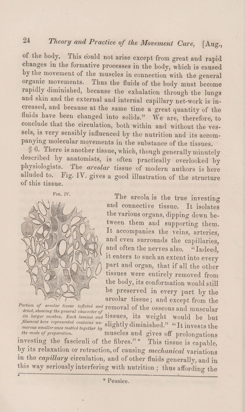 of the body. This could not arise except from great and rapid changes in the formative processes in the body, which is caused by the movement of the muscles in connection with the general oiganic movements. Thus the fluids of the body must become lapidly diminished, because the exhalation through the lungs and sLin and the external and internal capillary net-work is in¬ creased, and because at the same time a great quantity of the fluids have been changed into solids.55 We are, therefore, to conclude that the circulation, both within and without the ves¬ sels, is very sensibly influenced by the nutrition and its accom¬ panying molecular movements in the substance of the tissues. §> 6. There is another tissue, which, though generally minutely described by anatomists, is often practically overlooked by physiologists. The areolar tissue of modern authors is here alluded to. Fig. IY. gives a good illustration of the structure of this tissue. The areola is the true investing and connective tissue. It isolates the various organs, dipping down be¬ tween them and supporting them. It accompanies the veins, arteries, and even surrounds the capillaries, and often the nerves also. “Indeed, it enters to such an extent into every part and organ, that if all the other tissues were entirely removed from the body, its conformation would still be preserved in every part by the areolar tissue 5 and except from the Portion of areolar tissue inflated and removal 0f the OSSeOUS and muscular dried, showing the general character of . . . uuo aim musiuJd.1 its larger meshes. Each lamina and tlSSUeS, its Weight Would be but filament here represented contains nu- i ,, ccr. • ■, merous smaller ones matted together by ® ^ nished. It invests the the mode of preparation. muscles and gives off prolou cations investing the fasciculi of the fibres.55 * This tissue is capable, by its relaxation or retraction, of causing mechanical variations in the capillary circulation, and of other fluids generally, and in this way seriously interfering with nutrition ; thus affording the * Peaslee.