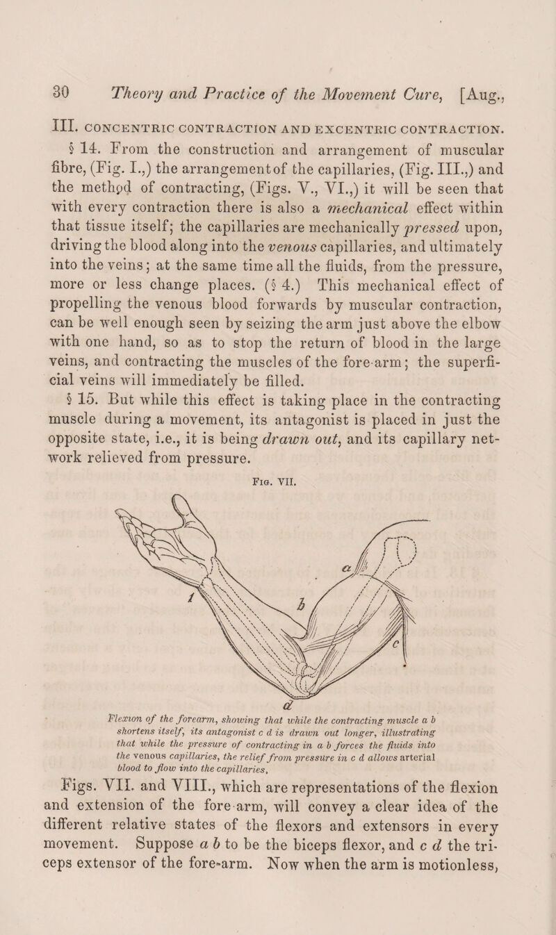 HI. CONCENTRIC CONTRACTION AND EXCENTRIC CONTRACTION. § 14. From the construction and arrangement of muscular fibre, (Fig. I.,) the arrangement of the capillaries, (Fig. III.,) and the methpd of contracting, (Figs. V., VI.,) it will be seen that with every contraction there is also a mechanical effect within that tissue itself; the capillaries are mechanically pressed upon, driving the blood along into the venous capillaries, and ultimately into the veins; at the same time all the fluids, from the pressure, more or less change places. (§ 4.) This mechanical effect of propelling the venous blood forwards by muscular contraction, can be well enough seen by seizing the arm just above the elbow with one hand, so as to stop the return of blood in the large veins, and contracting the muscles of the fore arm; the superfi¬ cial veins will immediately be filled. § 15. But while this effect is taking place in the contracting muscle during a movement, its antagonist is placed in just the opposite state, i.e., it is being drawn out, and its capillary net¬ work relieved from pressure. Fig. VII. Flexion of the forearm, showing that while the contracting muscle a b shortens itself its antagonist c d is drawn out longer, illustrating that while the pressure of contracting in a b forces the fluids into the venous capillaries, the relief from pressure in c d allows arterial blood to flow into the capillaries, Figs. YII. and VIII., which are representations of the flexion and extension of the fore arm, will convey a clear idea of the different relative states of the flexors and extensors in every movement. Suppose a b to be the biceps flexor, and c d the tri¬ ceps extensor of the fore«arm. Now when the arm is motionless,