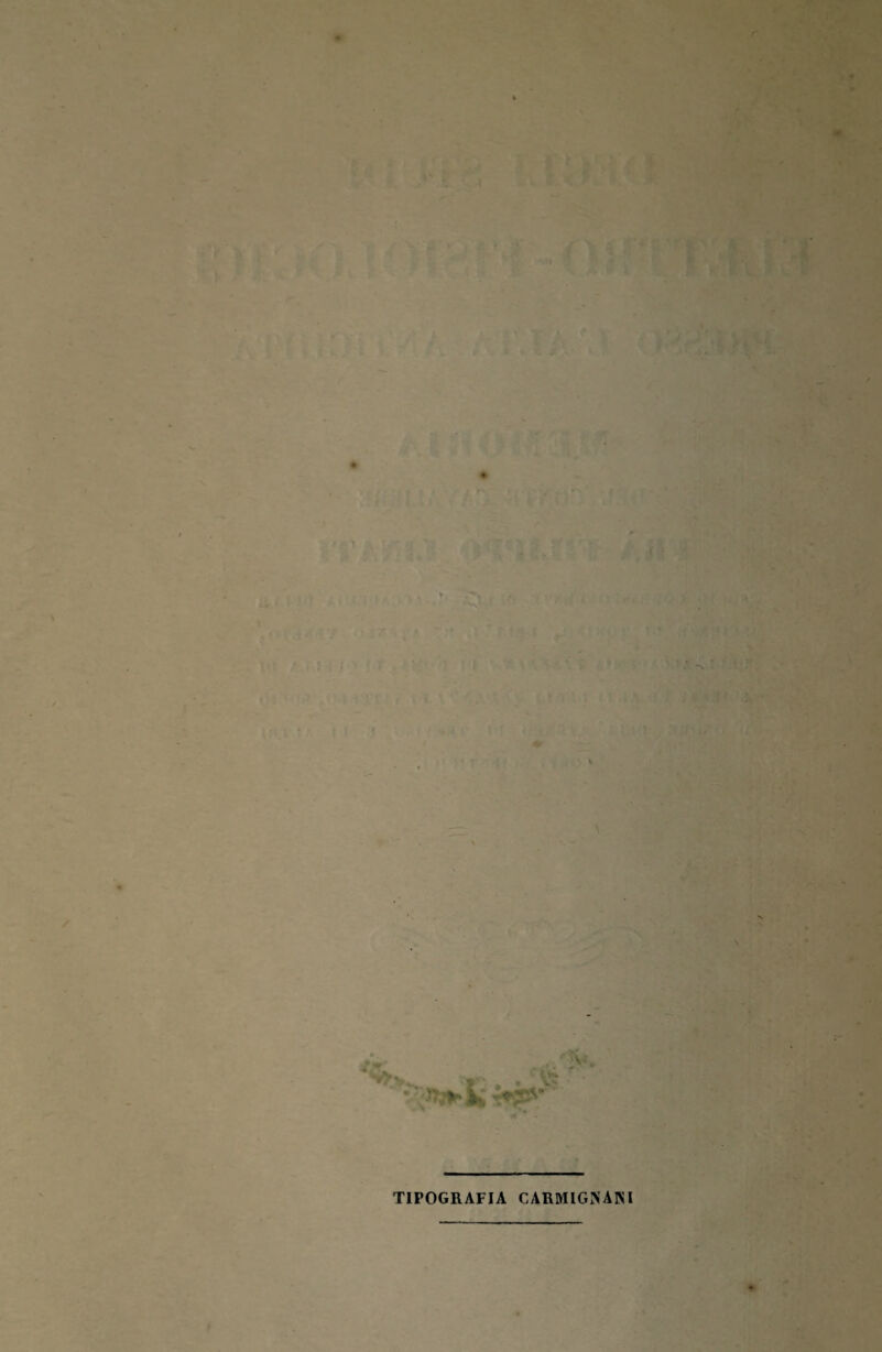 TIPOGRAFIA CARMIGiNANI