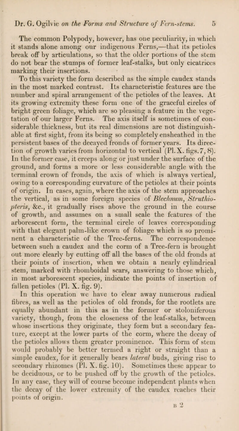 The common Polypody, however, has one peculiarity, in which it stands alone among our indigenous Ferns,—that its petioles break off by articulations, so that the older portions of the stem do not bear the stumps of former leaf-stalks, but only cicatrices marking their insertions. To this variety the form described as the simple caudex stands in the most marked contrast. Its characteristic features are the number and spiral arrangement of the petioles of the leaves. At its growing extremity these form one of the graceful circles of bright green foliage, which are so pleasing a feature in the vege¬ tation of our larger Ferns. The axis itself is sometimes of con¬ siderable thickness, but its real dimensions are not distinguish¬ able at first sight, from its being so completely ensheathed in the persistent bases of the decayed fronds of former years. Its direc¬ tion of growth varies from horizontal to vertical (PI.X. figs. 7, 8). In the former case, it creeps along or just under the surface of the ground, and forms a more or less considerable angle with the terminal crown of fronds, the axis of wdiich is always vertical, owing to a corresponding curvature of the petioles at their points of origin. In cases, again, where the axis of the stem approaches the vertical, as in some foreign s})ecies of Blechnum, Struthio- pteris, &c., it gradually rises above the ground in the course of growth, and assumes on a small scale the features of the arborescent form, the terminal circle of leaves corresponding with that elegant palm-like crown of foliage which is so promi¬ nent a characteristic of the Tree-ferns. The correspondence between such a caudex and the corm of a Tree-fern is brought out more clearly by cutting off all the bases of the old fronds at their points of insertion, when we obtain a nearly cylindrical stem, marked with rhomboidal scars, answering to those which, in most arborescent species, indicate the points of insertion of fallen petioles (PI. X. fig. 9). In this operation we have to clear away numerous radical fibres, as w'ell as the j)etioles of old fronds, for the rootlets are equally abundant in this as in the former or stoloniferous variety, though, from the closeness of the leaf-stalks, between whose insertions they originate, they form but a secondary fea¬ ture, exce})t at the lower parts of the corm, where the decay of the petioles allows them greater prominence. This form of stem would j)robably be better termed a right or straight than a simple caudex, for it generally bears lateral buds, giving rise to secondary rhizomes (PI. X. tig. 10). Sometimes these appear to be deciduous, or to be pushed off by the growth of the petioles. In any case, they will of course become independent plants when the decay of the lower extremity of the caudex reaches their points of origin.