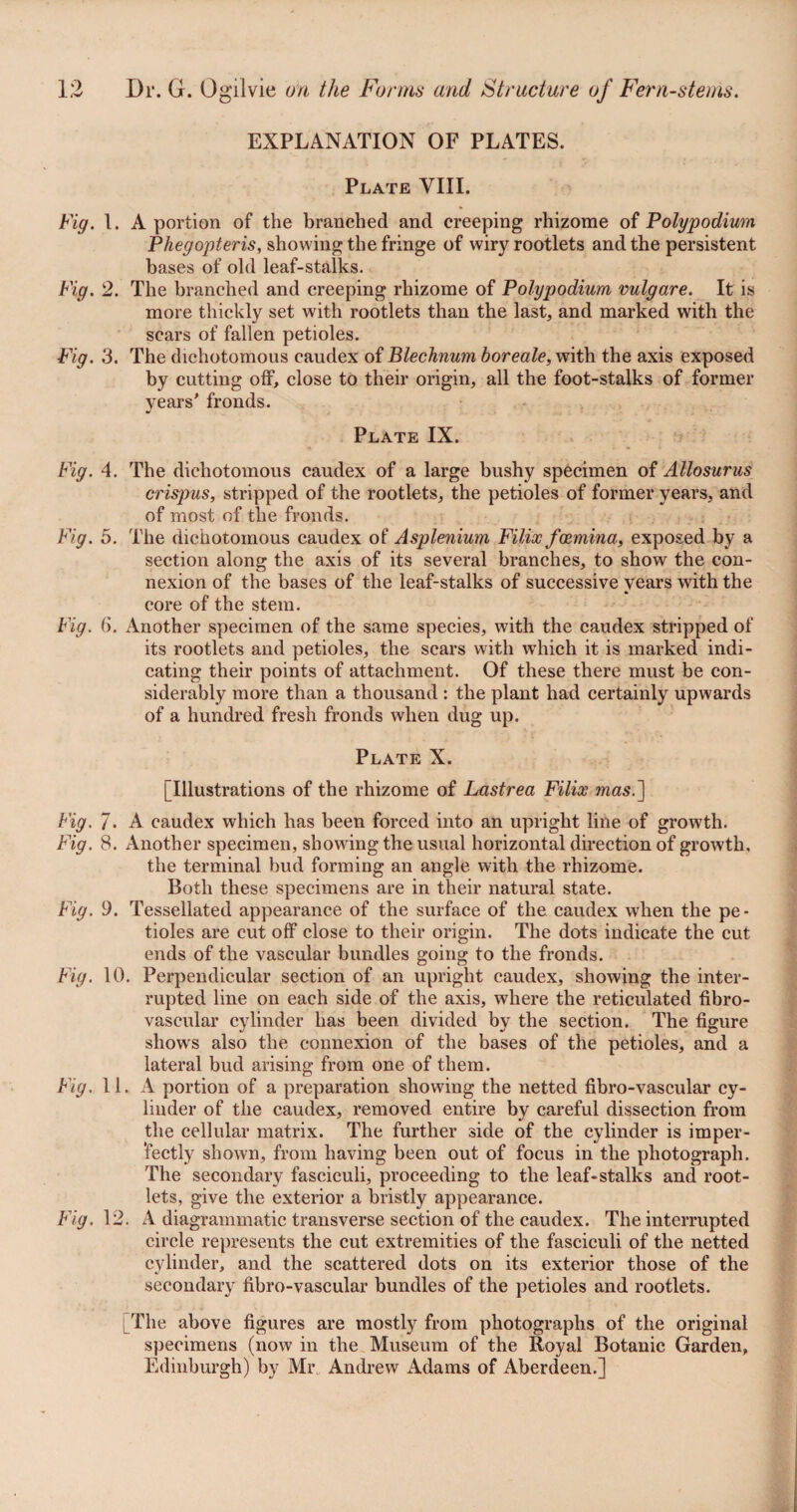 EXPLANATION OF PLATES. Plate VIII. Fig. 1. A portion of the branched and creeping rhizome of Polypodium Phegopteris, showing the fringe of wiry rootlets and the persistent bases of old leaf-stalks. Fig. 2. The branched and creeping rhizome of Polypodium vulgare. It is more thickly set with rootlets than the last, and marked with the scars of fallen petioles. Fig. 3. The dichotomous caudex of Blechnum boreale, with the axis exposed by cutting off, close to their origin, all the foot-stalks of former years' fronds. Plate IX. Fig. 4. The dichotomous caudex of a large bushy specimen of Allosurus crispus, stripped of the rootlets, the petioles of former years, and of most of the fronds. Fig. 5. The dichotomous caudex of Asplenium Filix fcemina, exposed by a section along the axis of its several branches, to show the con¬ nexion of the bases of the leaf-stalks of successive years with the core of the stem. Fig. (). Another specimen of the same species, with the caudex stripped of its rootlets and petioles, the scars with which it is marked indi¬ cating their points of attachment. Of these there must be con¬ siderably more than a thousand : the plant had certainly upwards of a hundred fresh fronds when dug up. Plate X. [Illustrations of the rhizome of Lastrea Filix mas.'\ Fig. 7. A caudex which has been forced into an upright line of growth. Fig. 8. Another specimen, showing the usual horizontal direction of growth, the terminal bud forming an angle with the rhizome. Both these specimens are in their natural state. Fig. 9. Tessellated appearance of the surface of the caudex when the pe¬ tioles are cut off close to their origin. The dots indicate the cut ends of the vascular bundles going to the fronds. Fig. 10. Perpendicular section of an upright caudex, showing the inter¬ rupted line on each side of the axis, where the reticulated fibro- vascular cylinder has been divided by the section. The figure shows also the connexion of the bases of the petioles, and a lateral bud arising from one of them. Fig. 11. A portion of a preparation showing the netted fibro-vascular cy¬ linder of the caudex, removed entire by careful dissection from the cellular matrix. The further side of the cylinder is imper¬ fectly shown, from having been out of focus in the photograph. The secondary fasciculi, proceeding to the leaf-stalks and root¬ lets, give the exterior a bristly appearance. Fig. 12. A diagrammatic transverse section of the caudex. The interrupted circle represents the cut extremities of the fasciculi of the netted cylinder, and the scattered dots on its exterior those of the secondary fibro-vascular bundles of the petioles and rootlets. [The above figures are mostly from photographs of the original specimens (now in the Museum of the Royal Botanic Garden, Edinburgh) by Mr„ Andrew Adams of Aberdeen.]